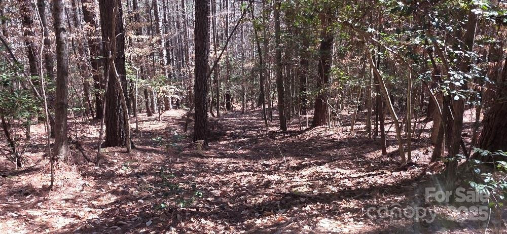 208 Ridge Top Drive - Photo 4