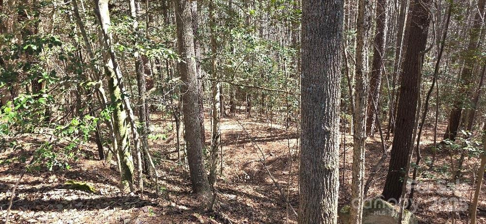 208 Ridge Top Drive - Photo 5