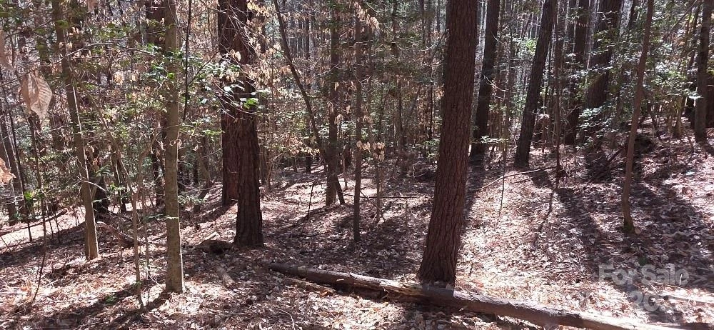 208 Ridge Top Drive - Photo 6