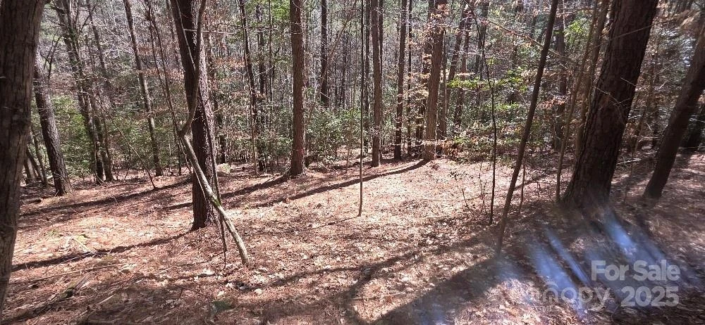 208 Ridge Top Drive - Photo 7