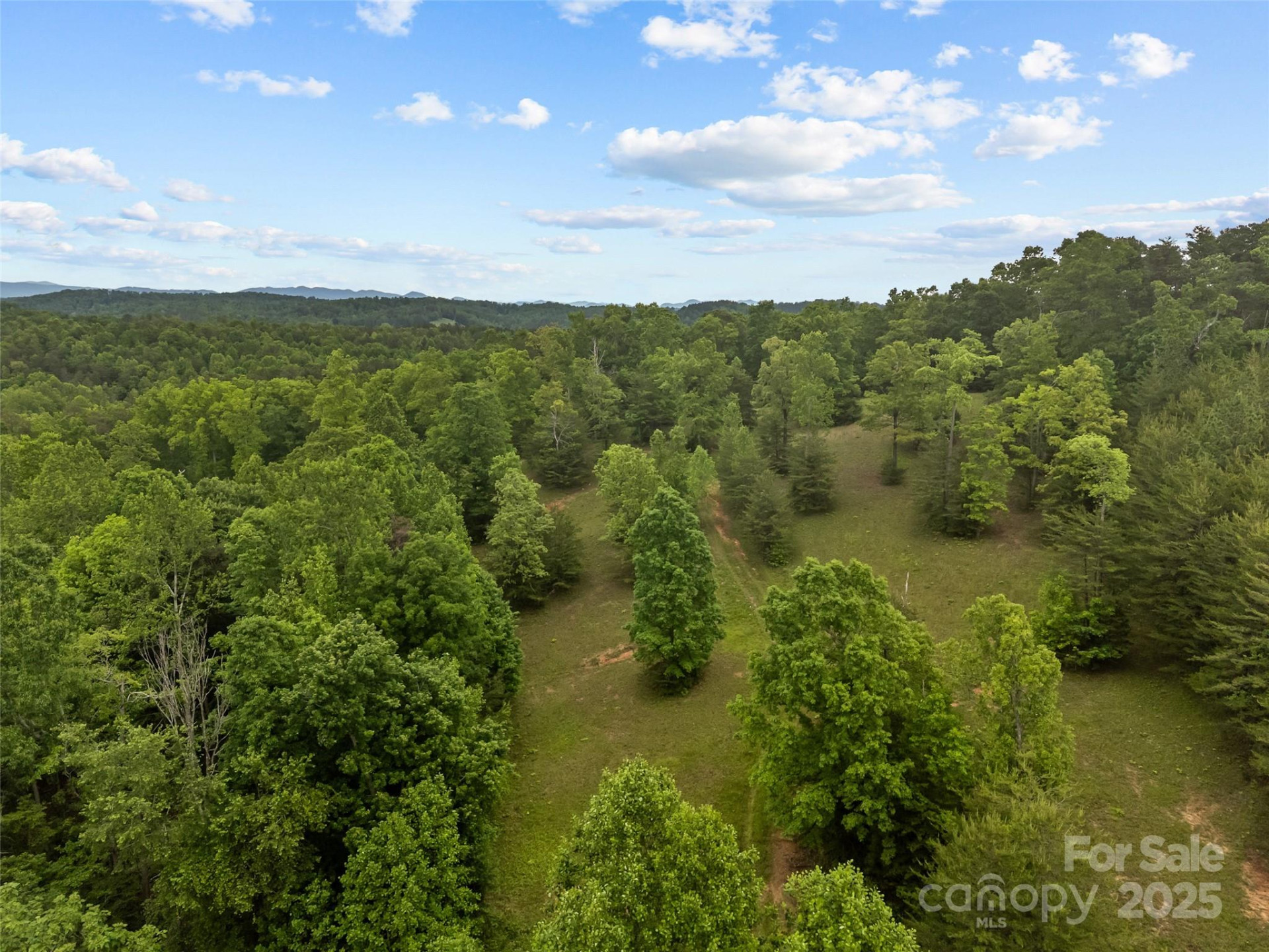 0000 County Line Road - Photo 12