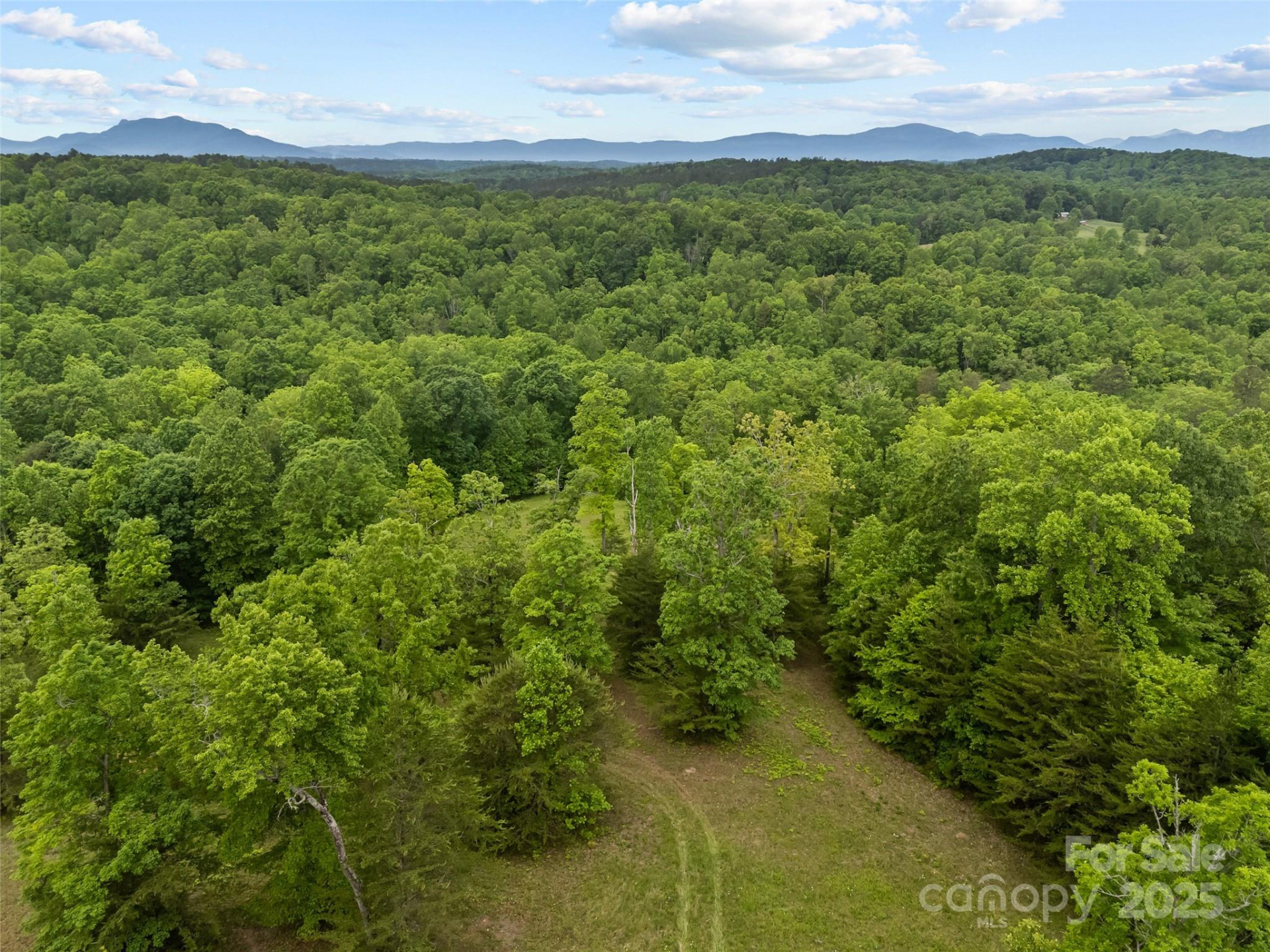 0000 County Line Road - Photo 13