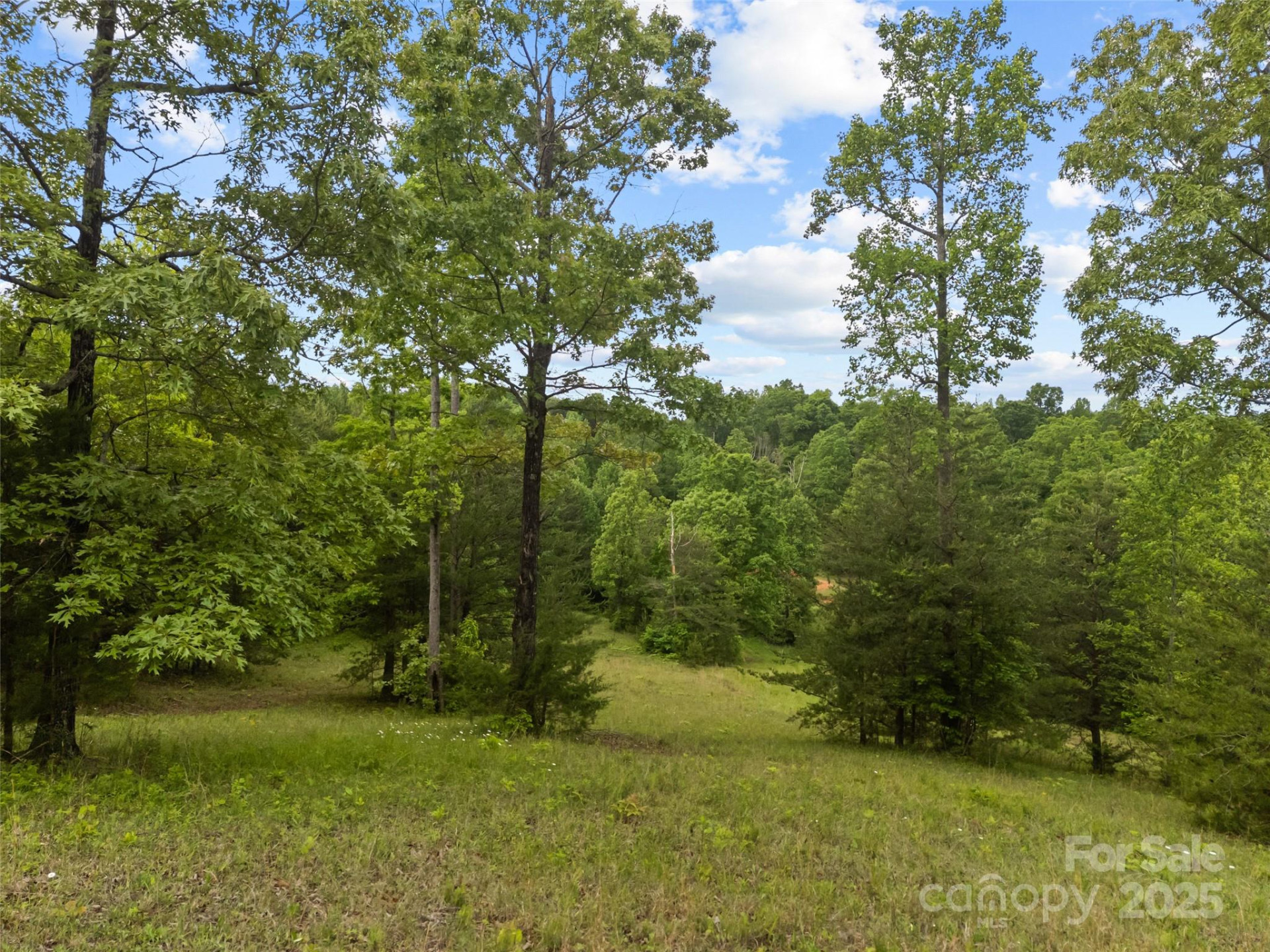 0000 County Line Road - Photo 14