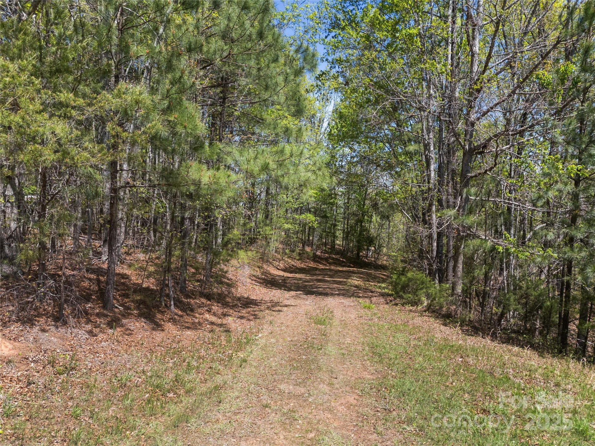 0000 County Line Road - Photo 17