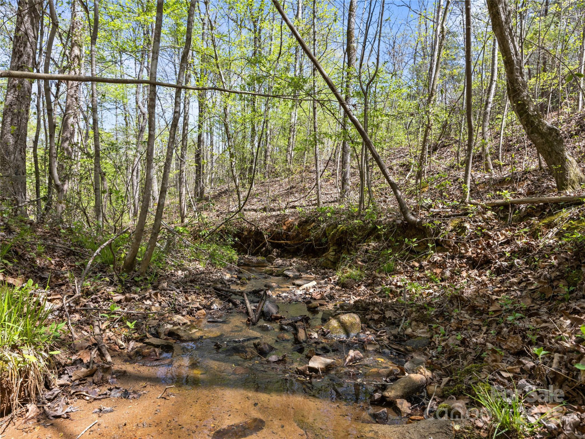 0000 County Line Road - Photo 18