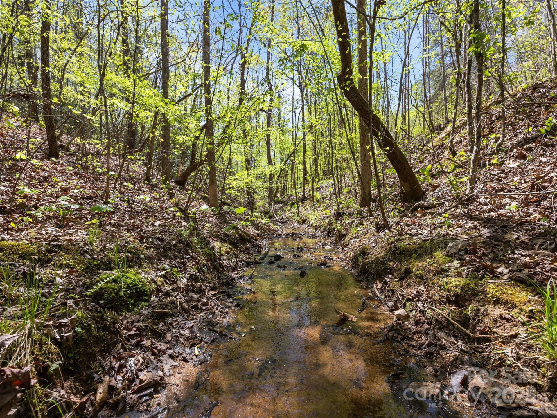 0000 County Line Road - Photo 20