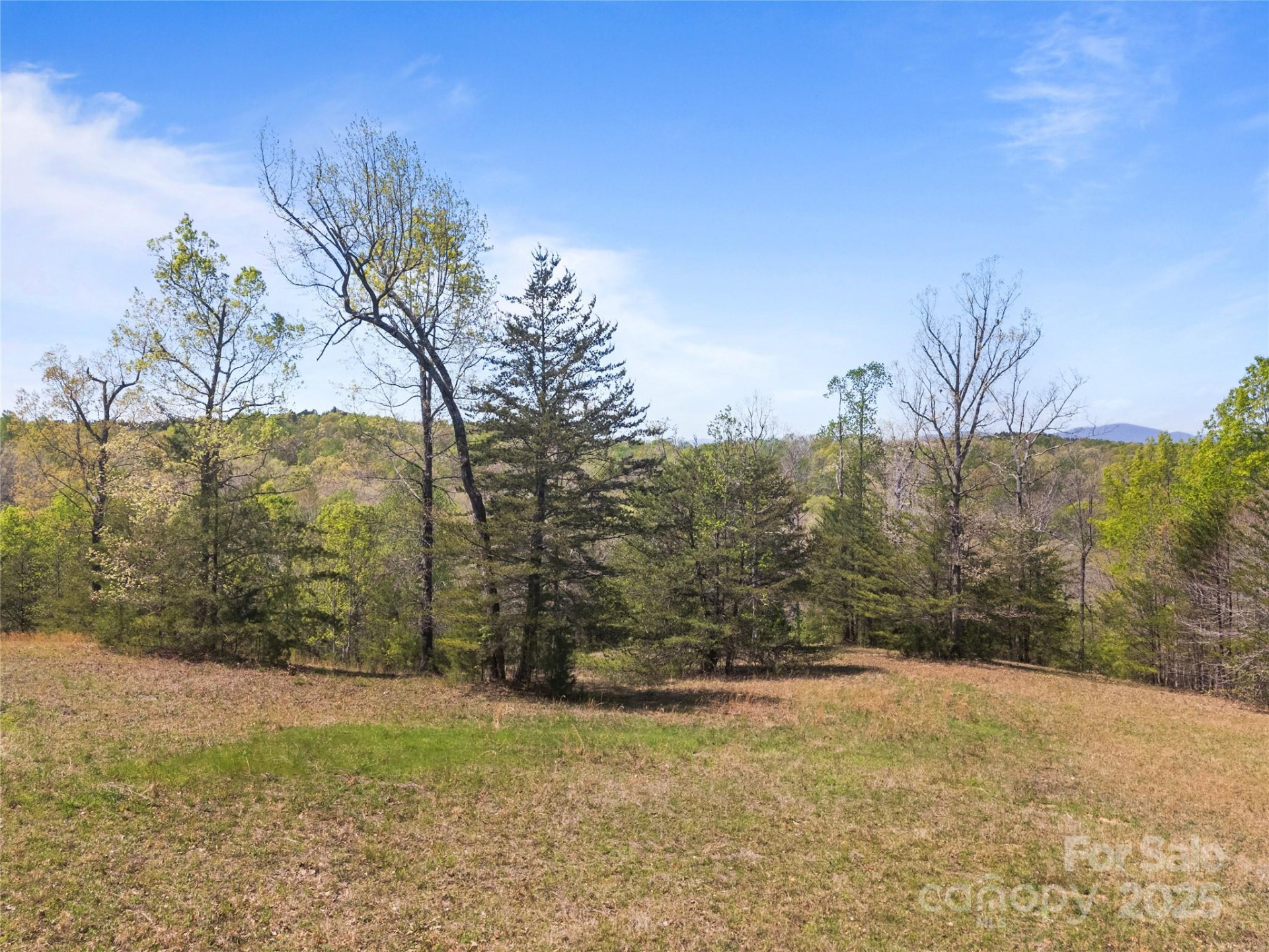 0000 County Line Road - Photo 21