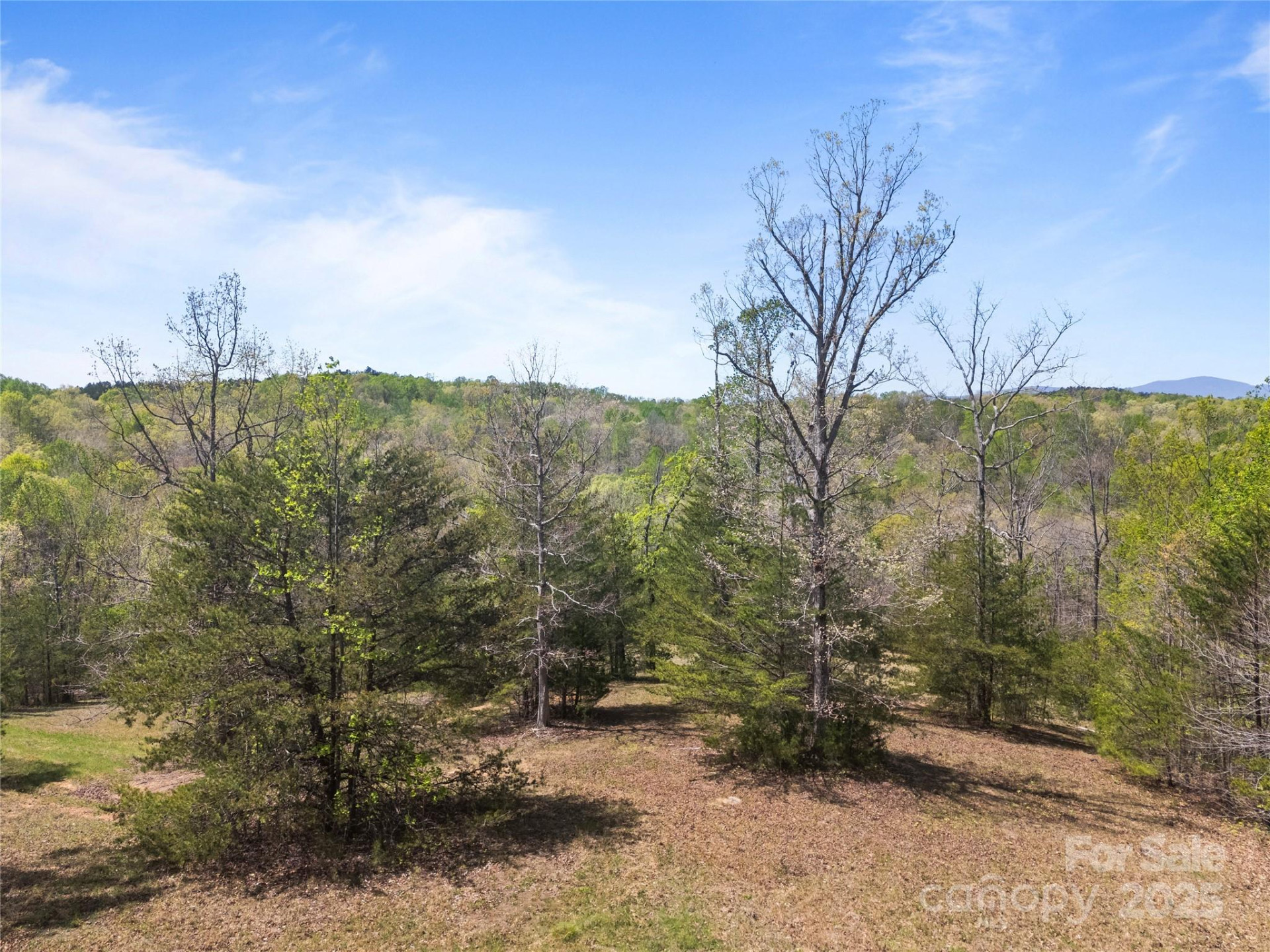 0000 County Line Road - Photo 22