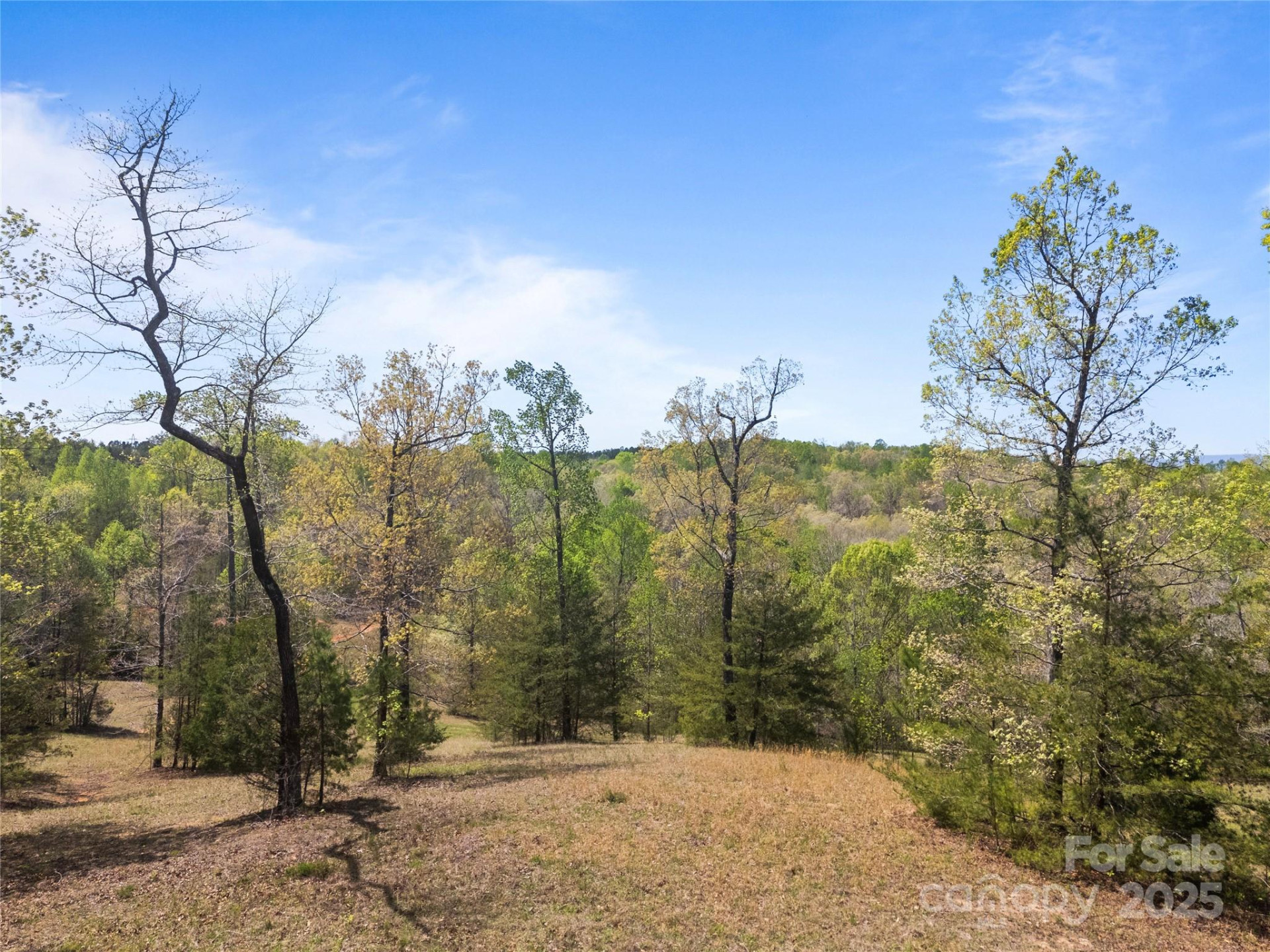 0000 County Line Road - Photo 23
