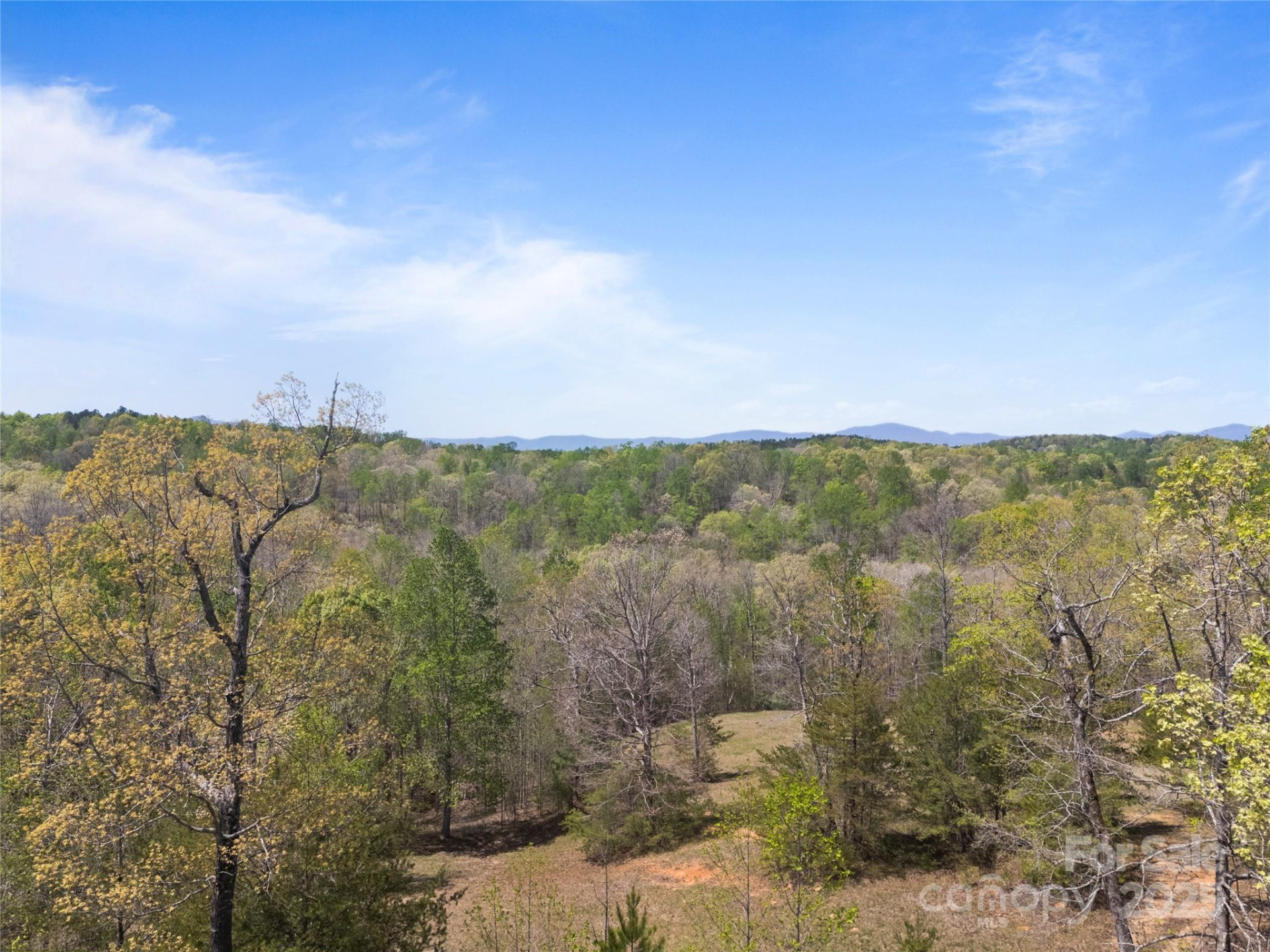 0000 County Line Road - Photo 24