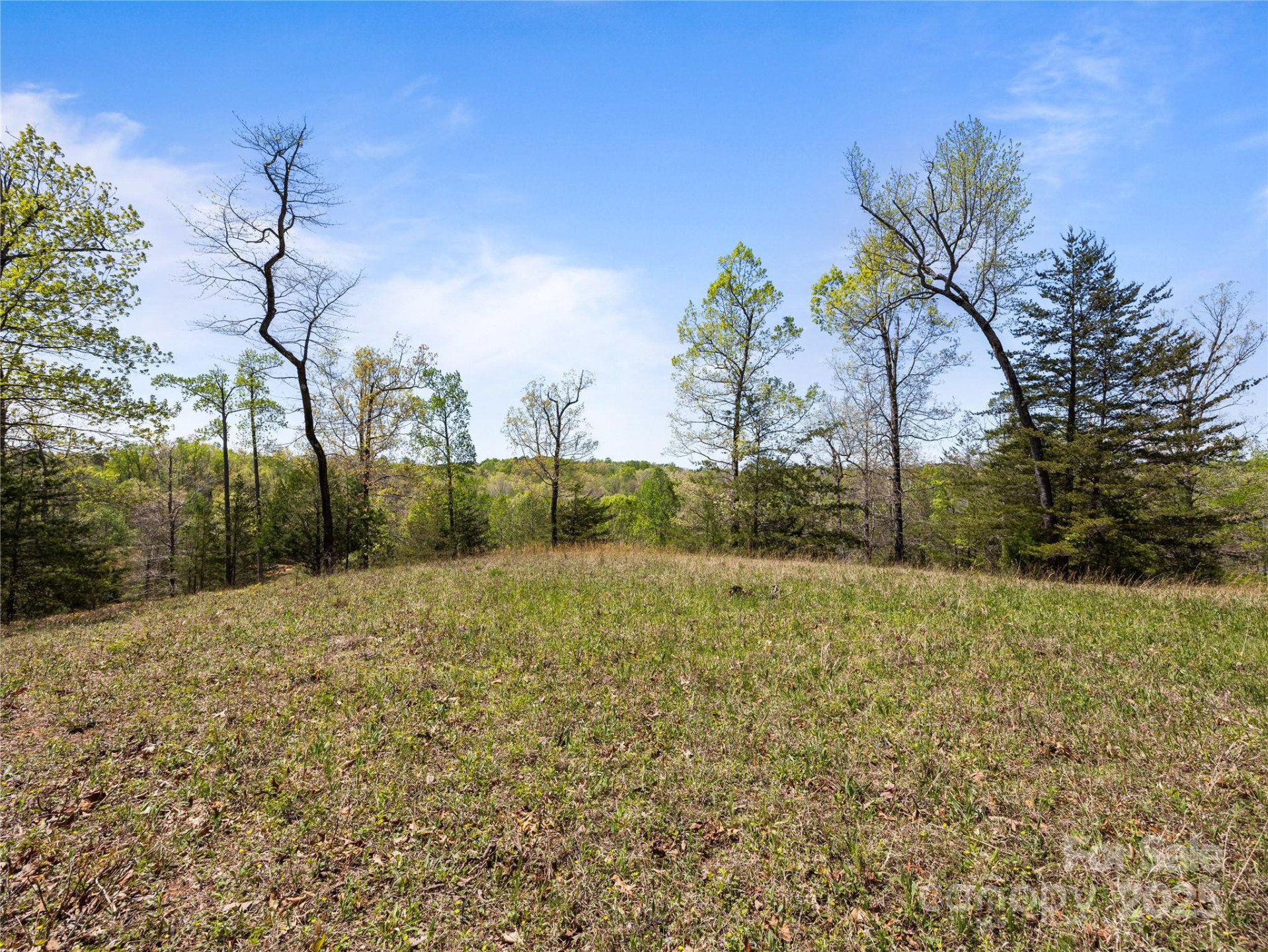 0000 County Line Road - Photo 27