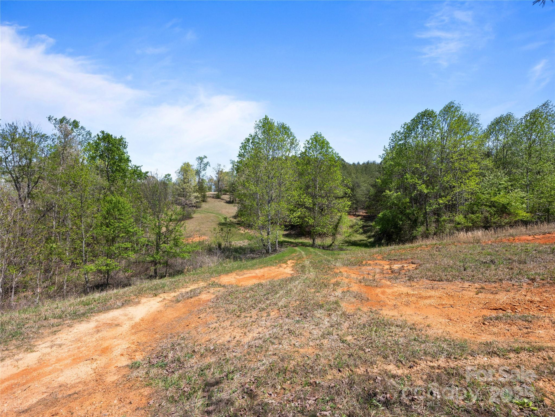 0000 County Line Road - Photo 30