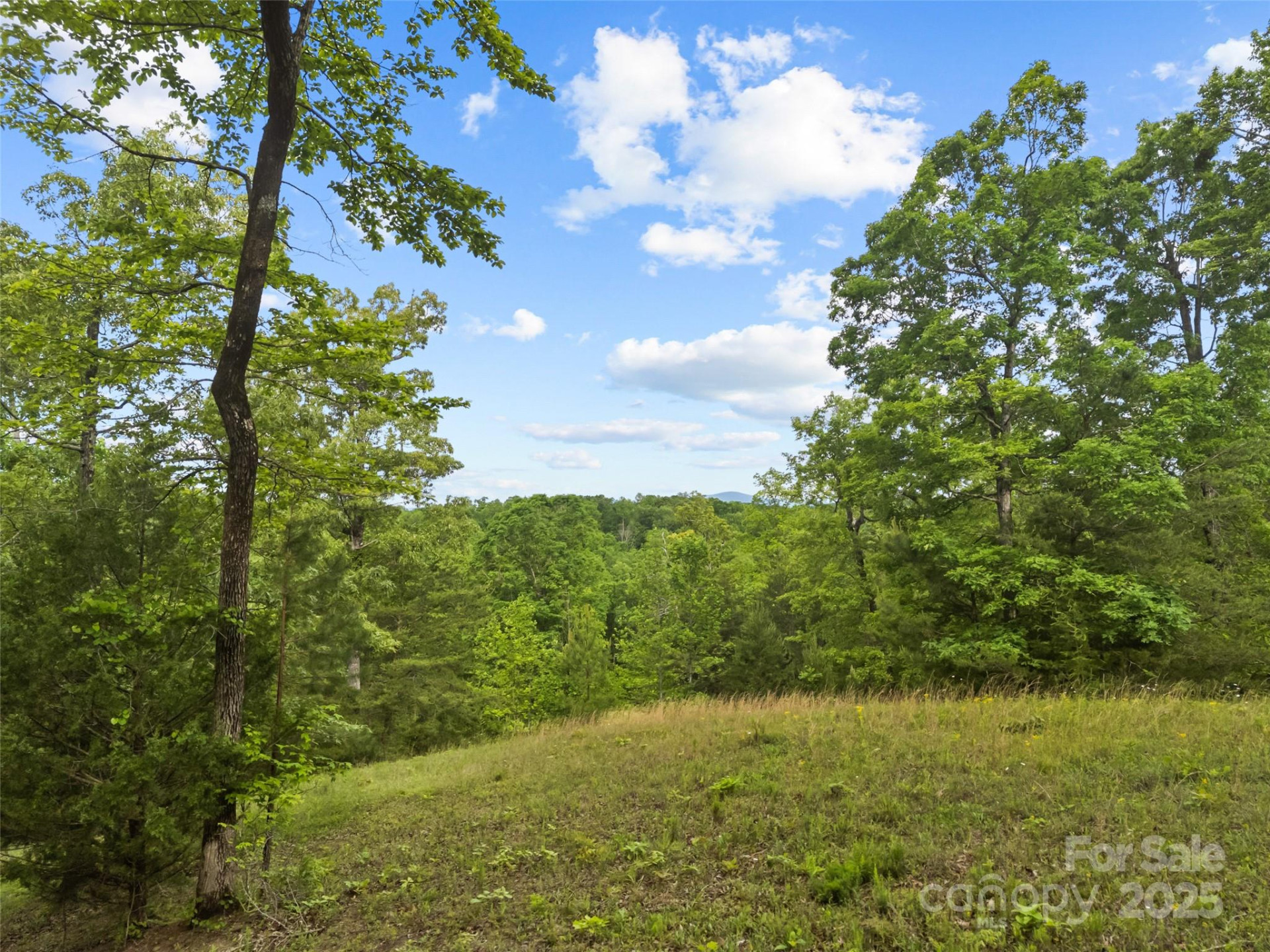 0000 County Line Road - Photo 4