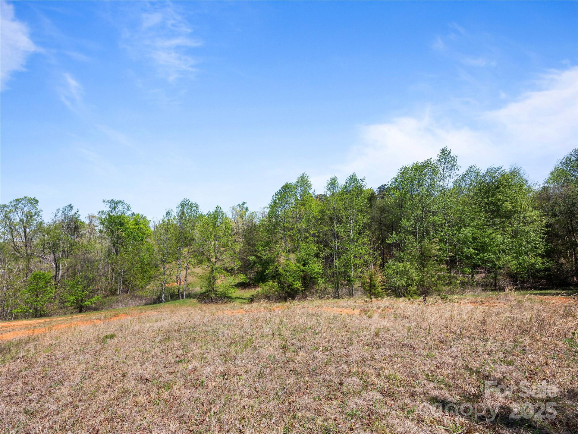 0000 County Line Road - Photo 34