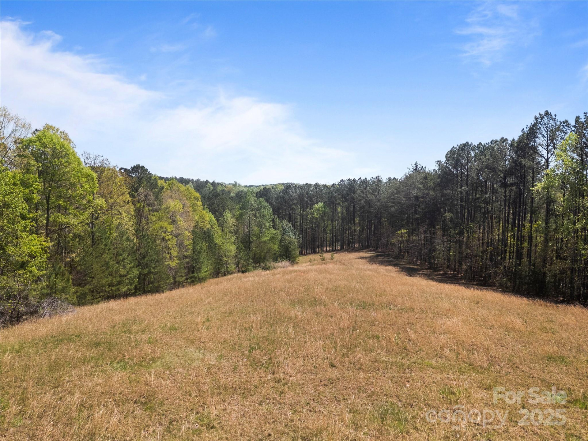 0000 County Line Road - Photo 38