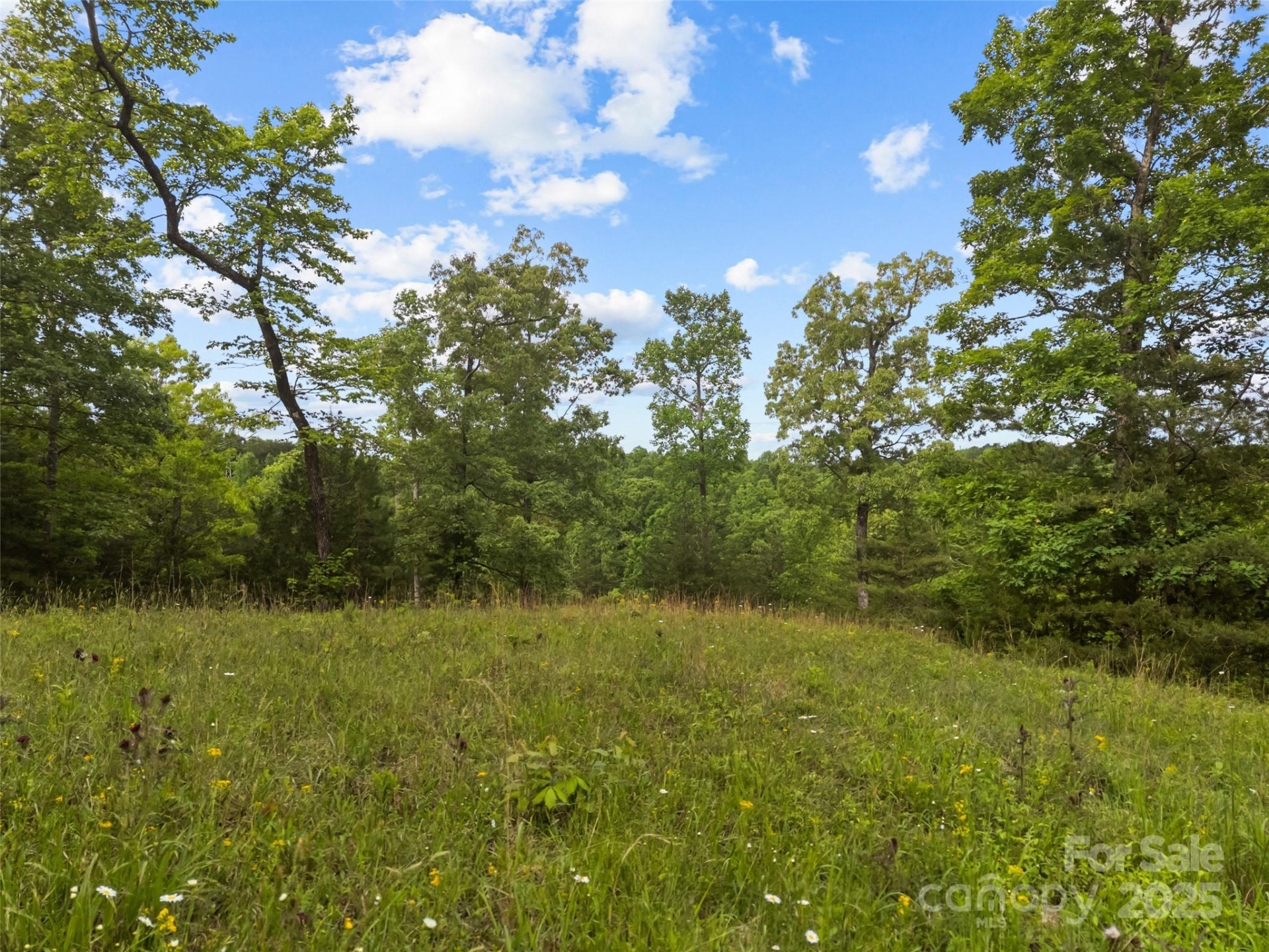 0000 County Line Road - Photo 5