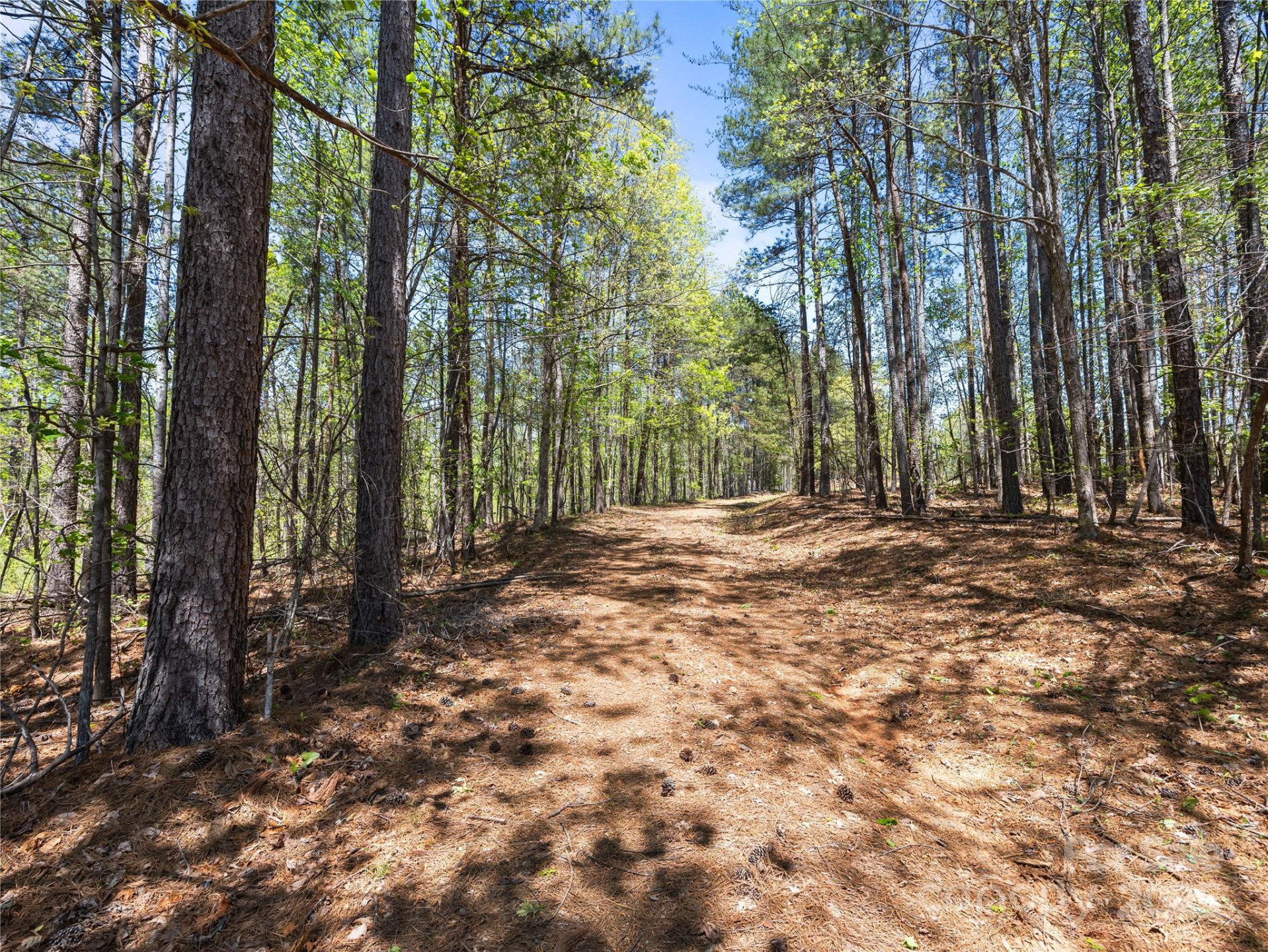 0000 County Line Road - Photo 43