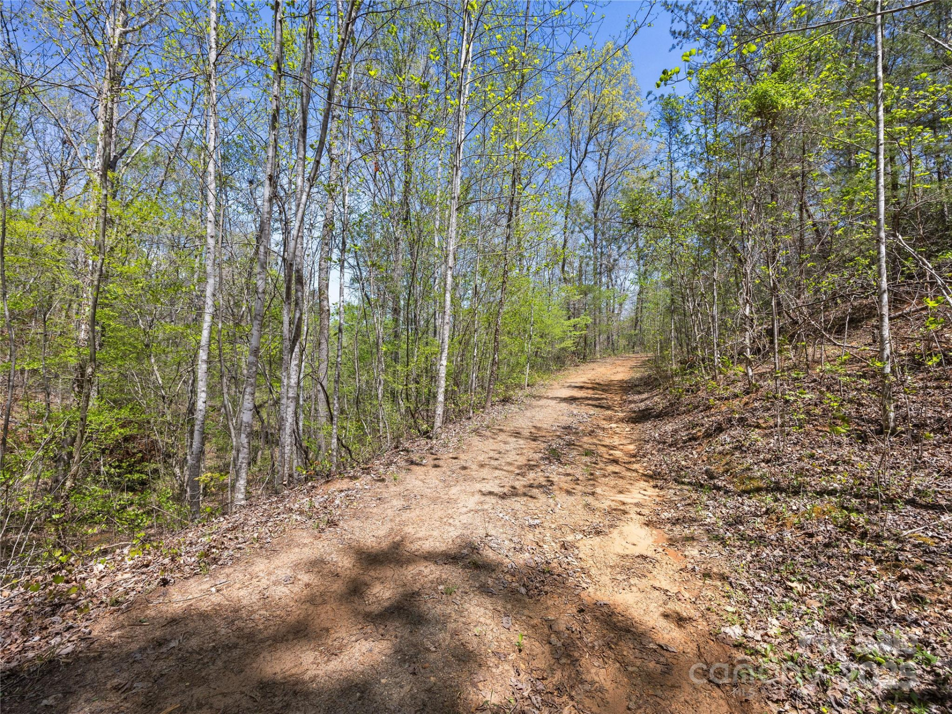 0000 County Line Road - Photo 44