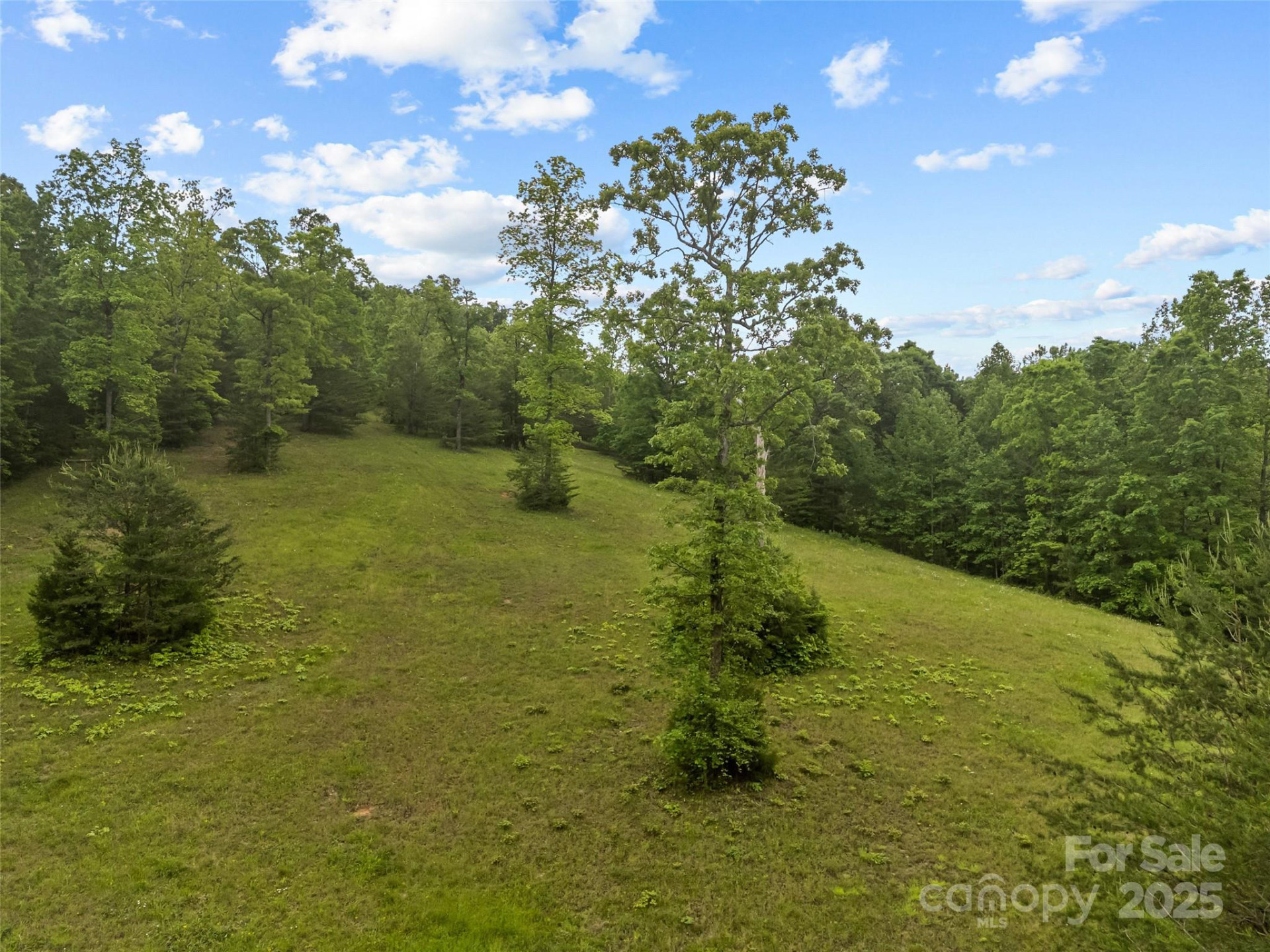 0000 County Line Road - Photo 6