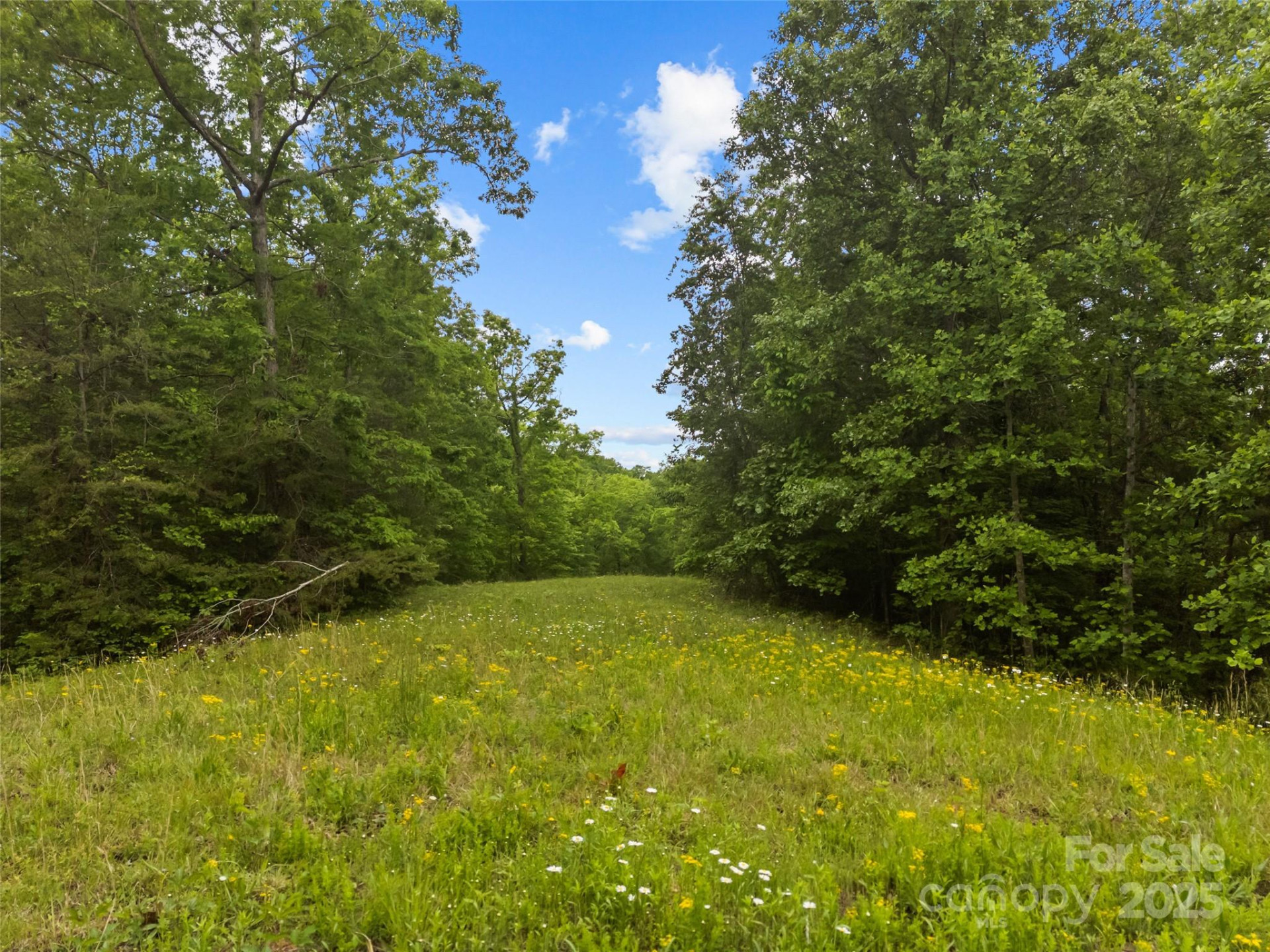 0000 County Line Road - Photo 7