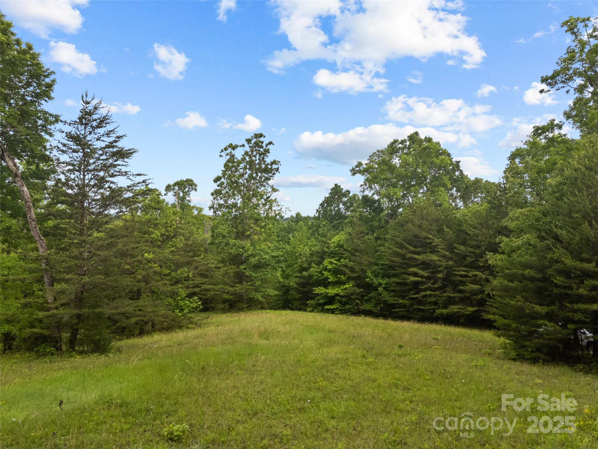 0000 County Line Road - Photo 8