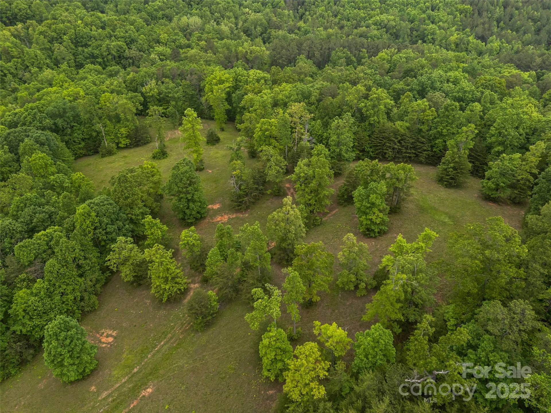 0000 County Line Road - Photo 9