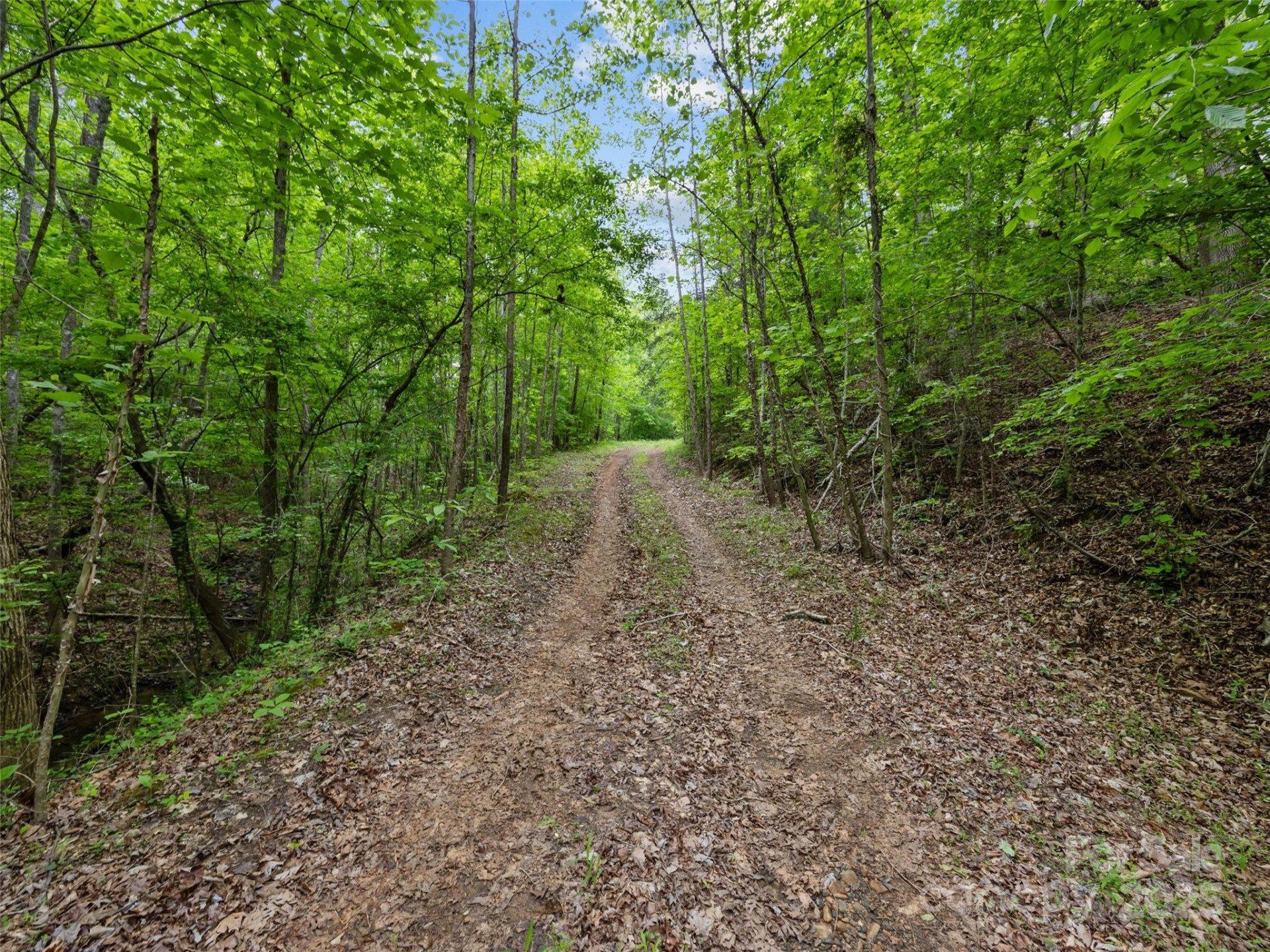 0000 County Line Road - Photo 10