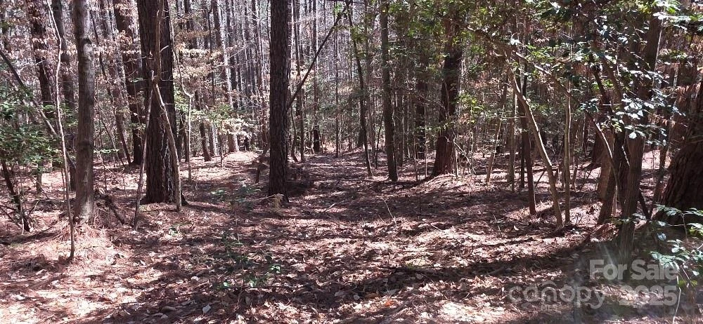 210 Ridge Top Drive - Photo 5