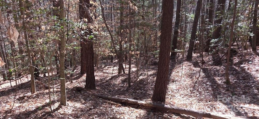 210 Ridge Top Drive - Photo 8