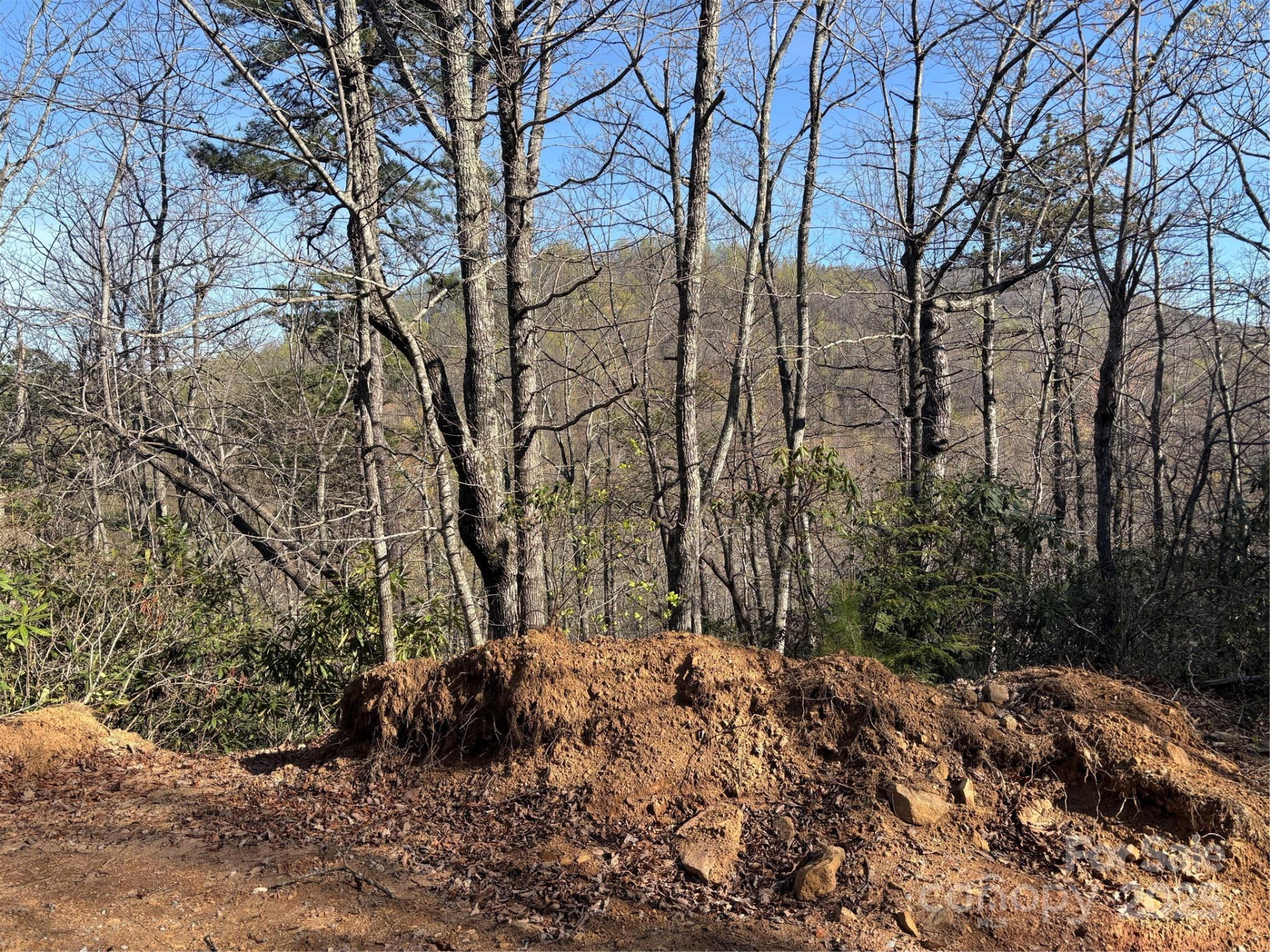 00 Kathy Lake Drive #24/25 - Photo 2