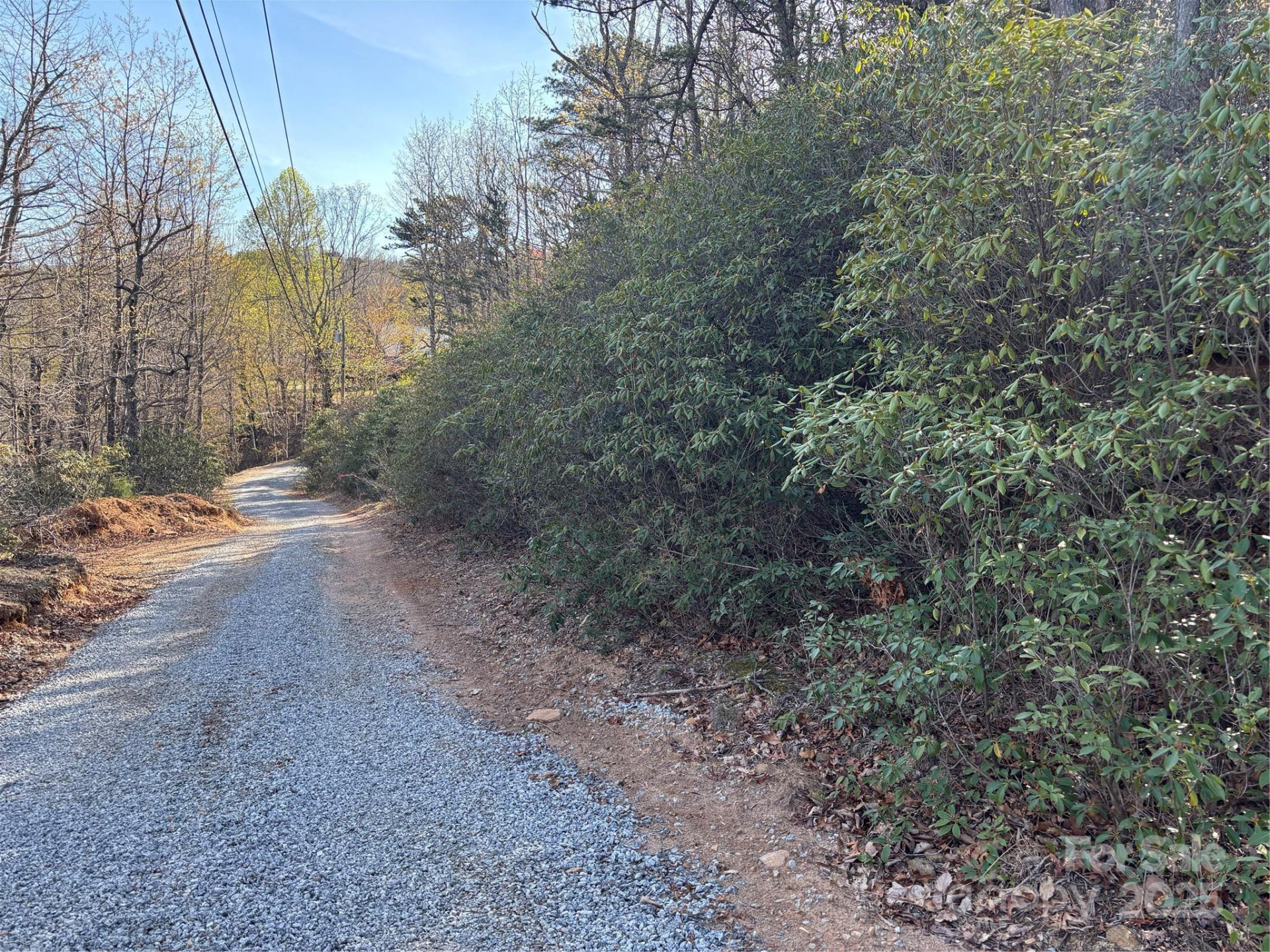 00 Kathy Lake Drive #24/25 - Photo 3