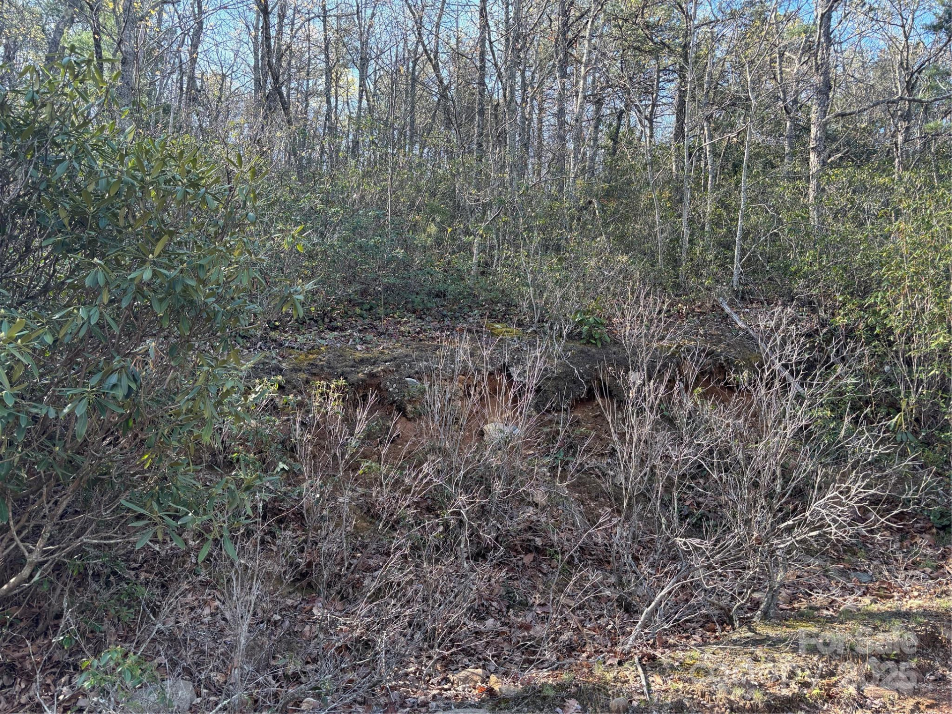 00 Kathy Lake Drive #24/25 - Photo 6