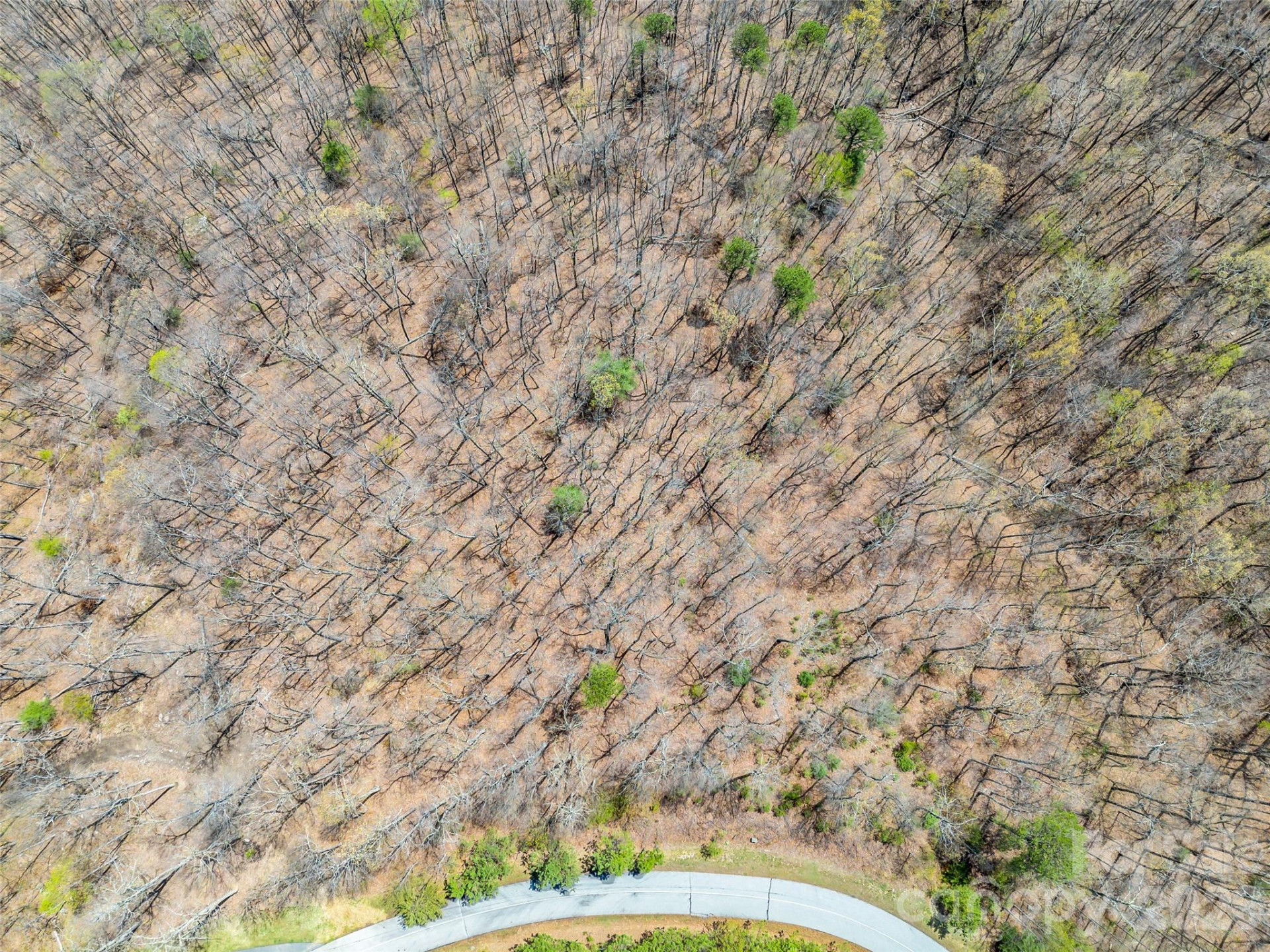 280 Eastman Place - Photo 27