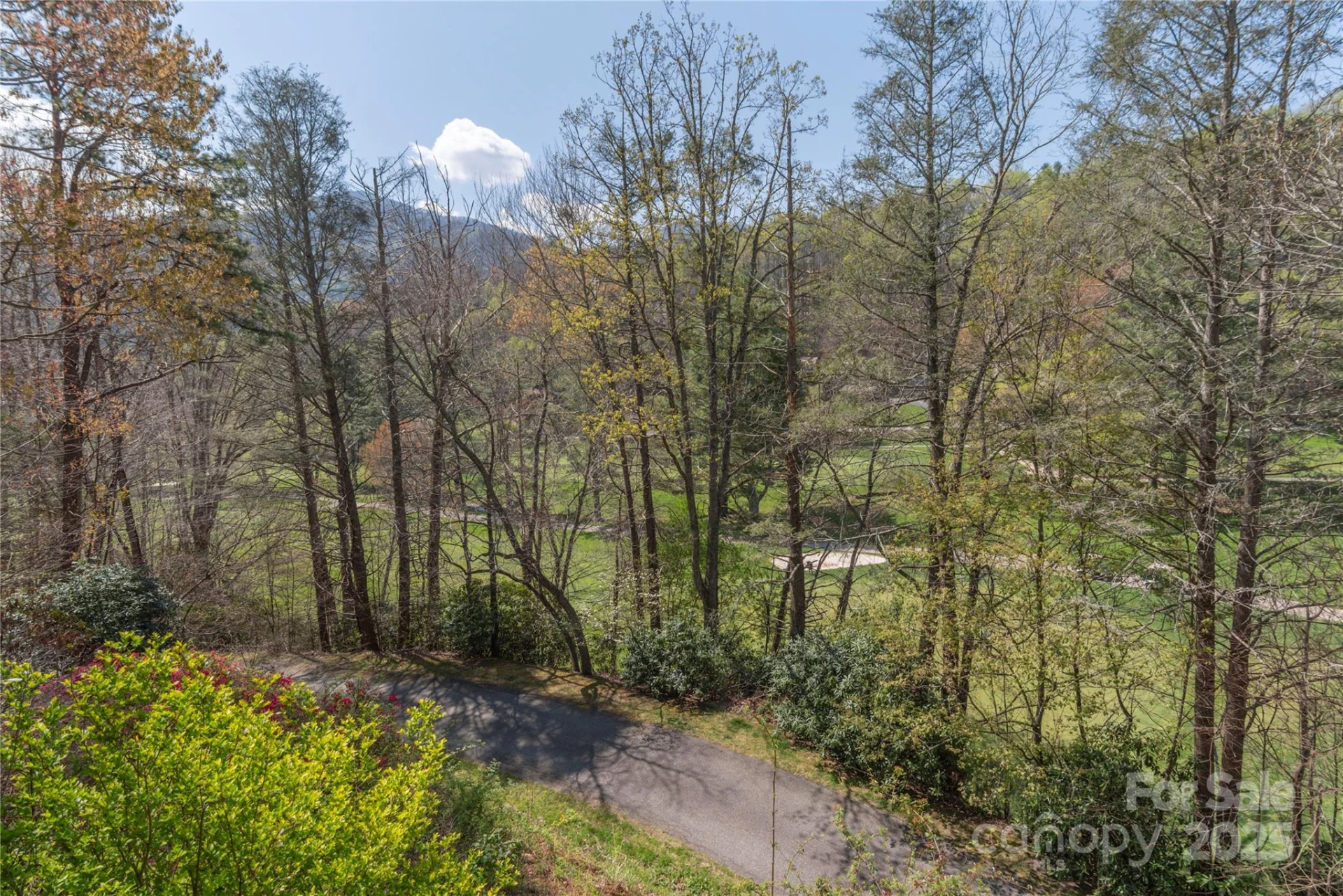 1429 Country Club Drive - Photo 3