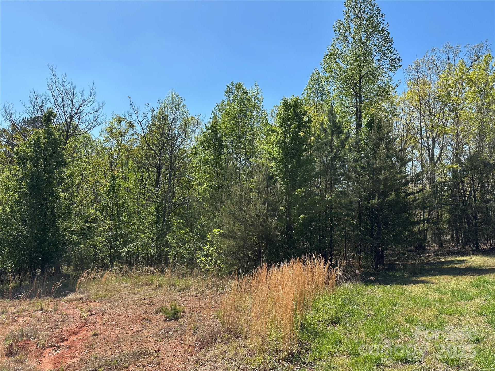 Lot 4 Celestial Drive - Photo 2