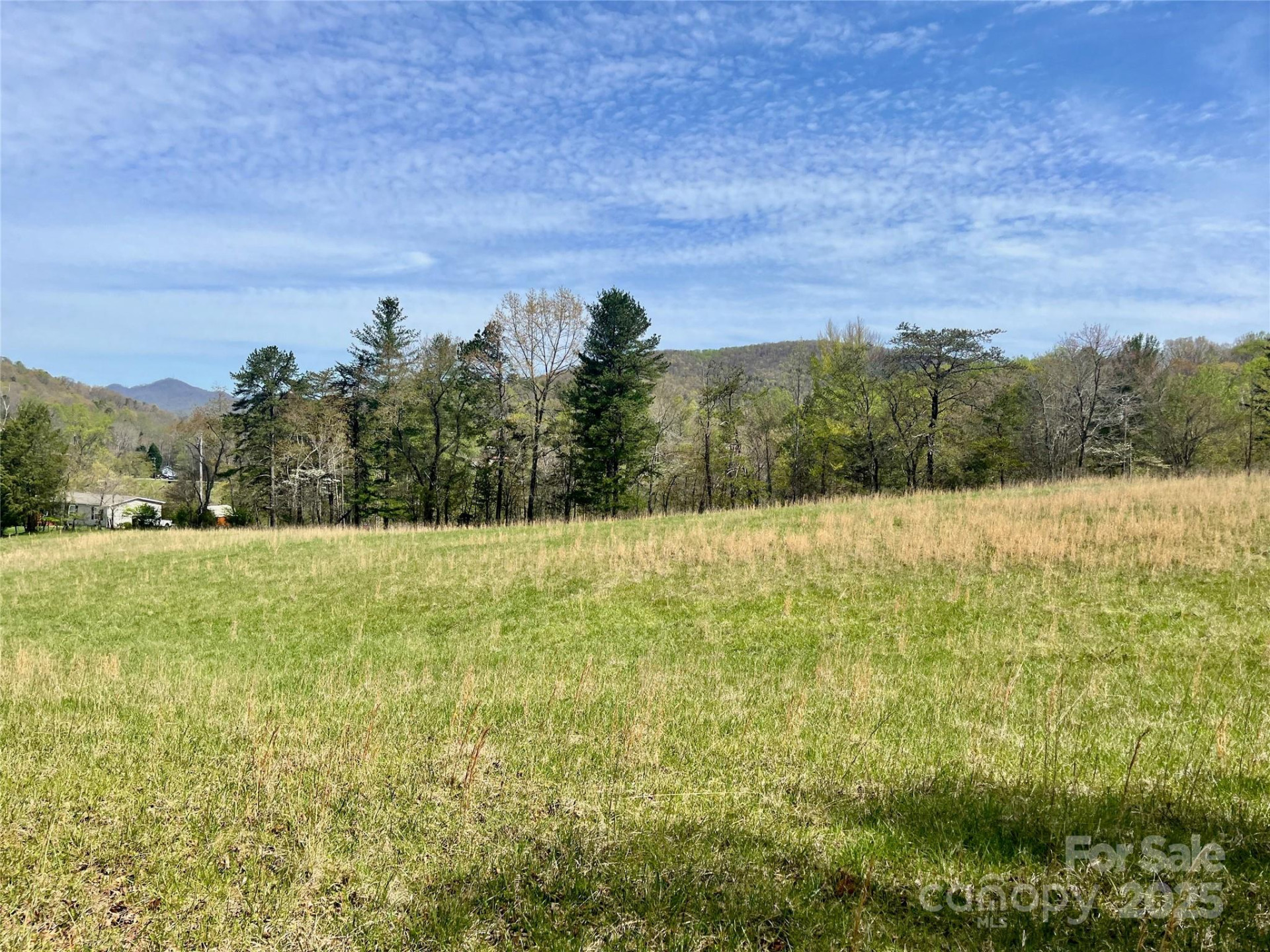 99999 Lollis Road - Photo 2