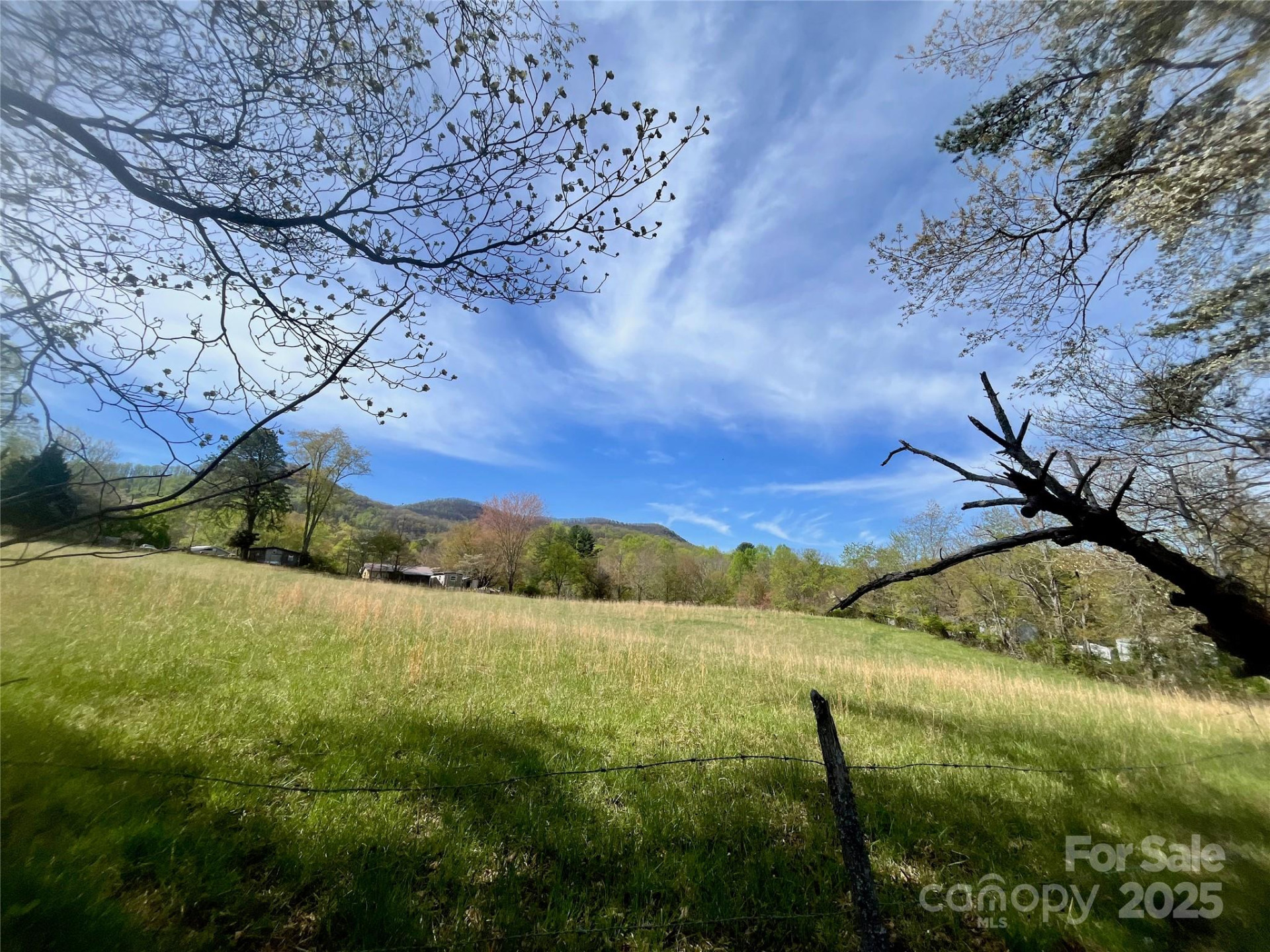 99999 Lollis Road - Photo 11