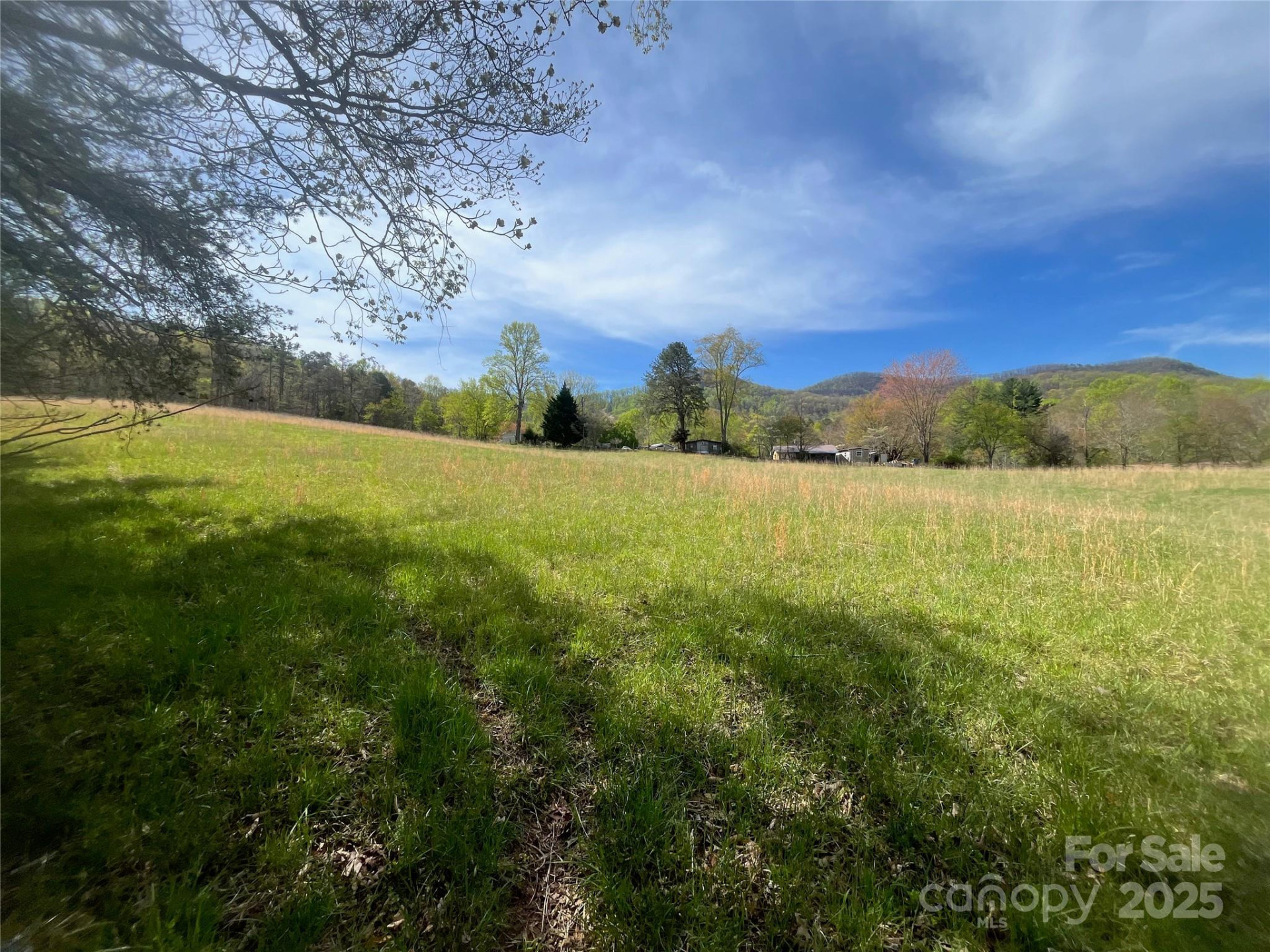 99999 Lollis Road - Photo 12