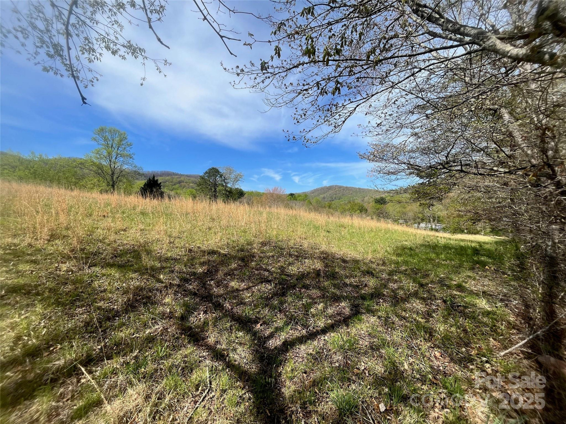 99999 Lollis Road - Photo 13