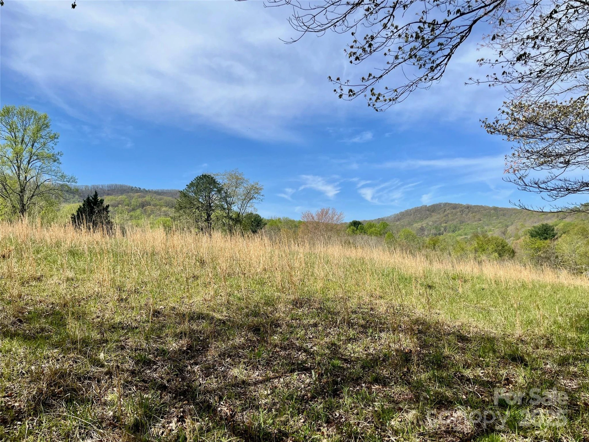 99999 Lollis Road - Photo 15