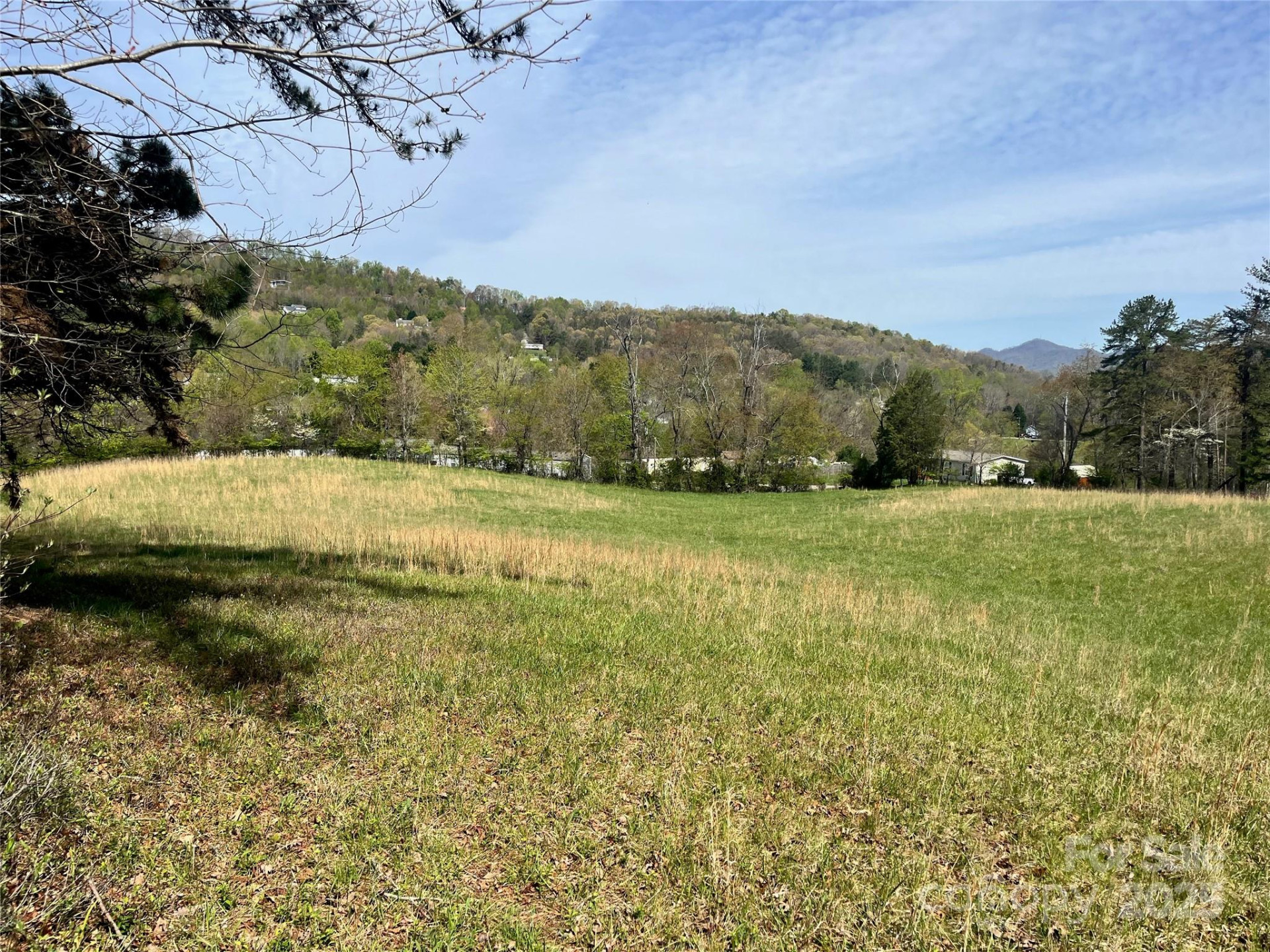 99999 Lollis Road - Photo 4