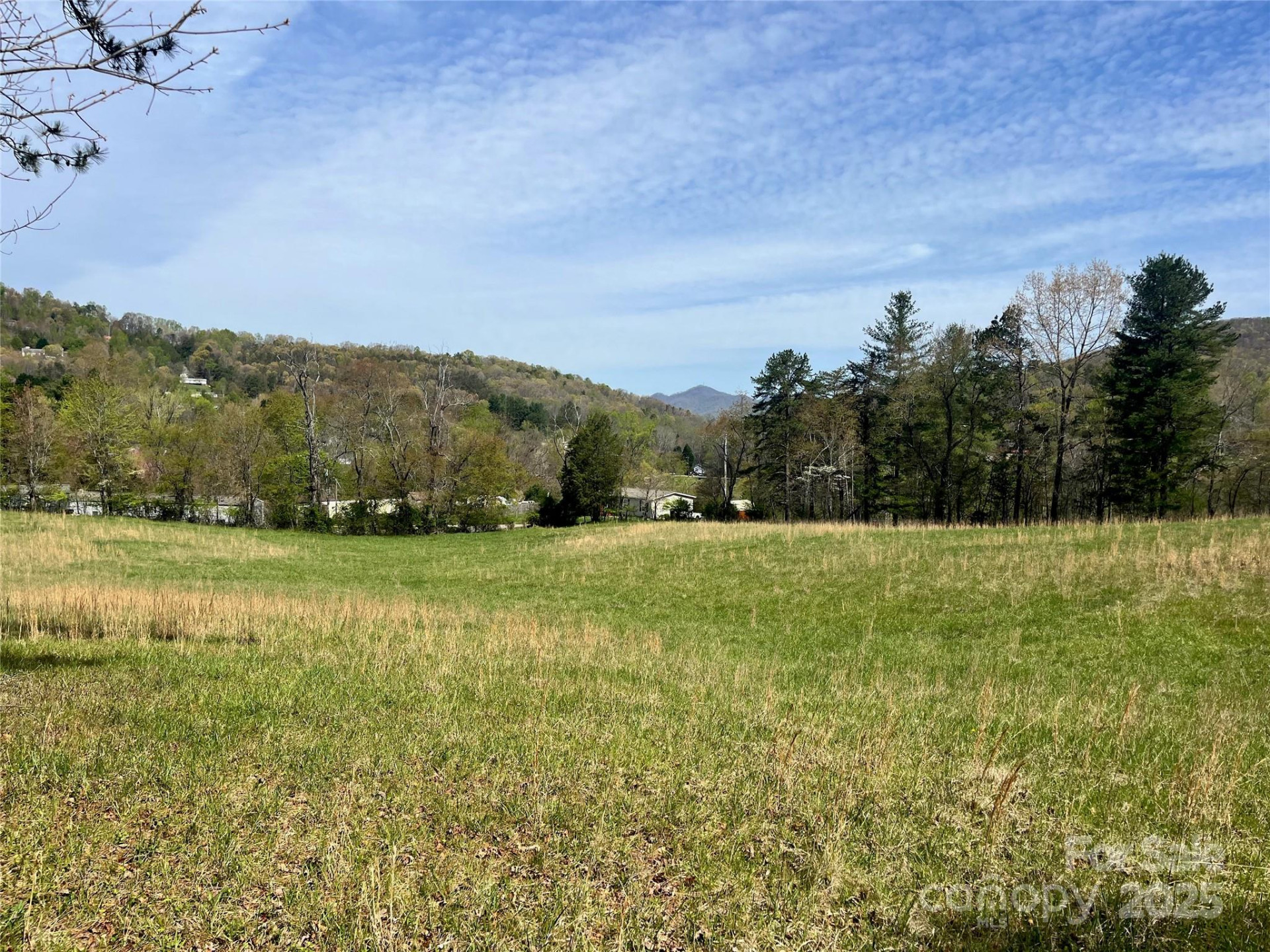 99999 Lollis Road - Photo 5