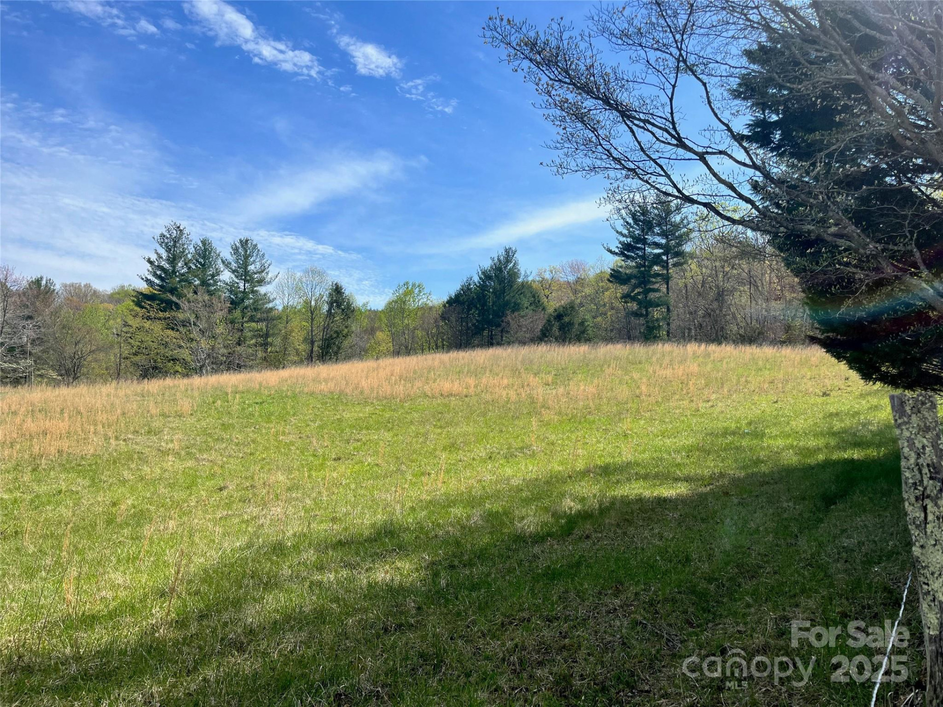 99999 Lollis Road - Photo 6