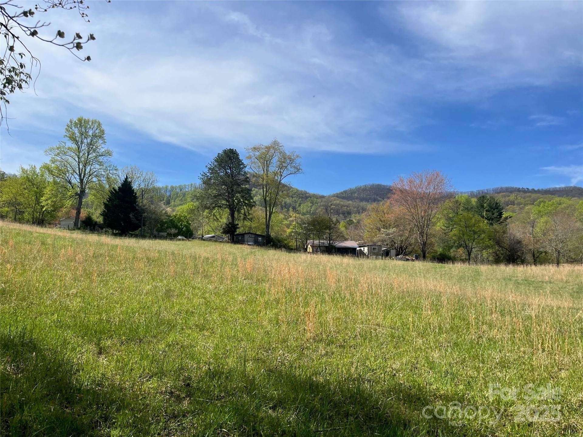 99999 Lollis Road - Photo 7