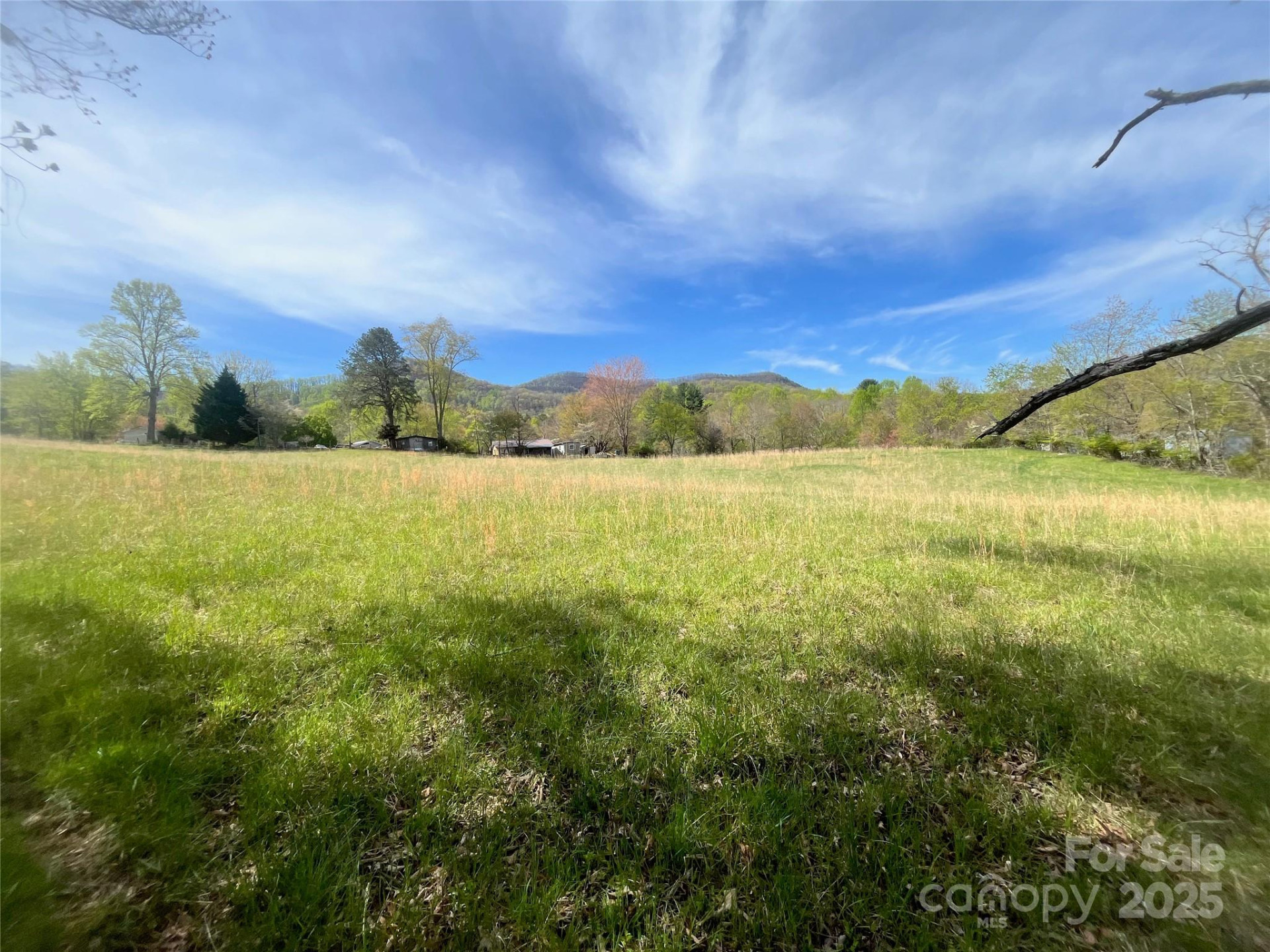 99999 Lollis Road - Photo 8