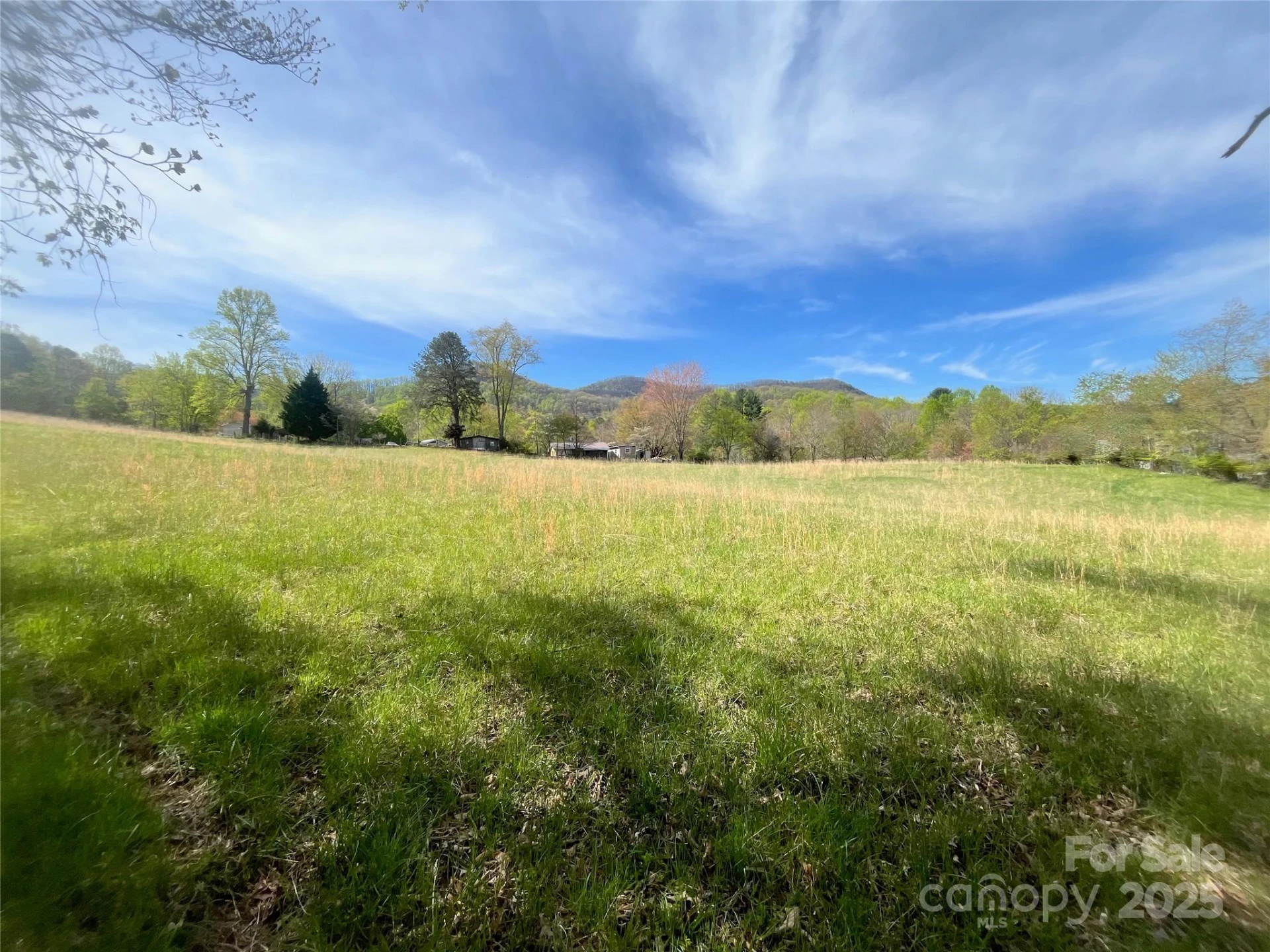 99999 Lollis Road - Photo 9