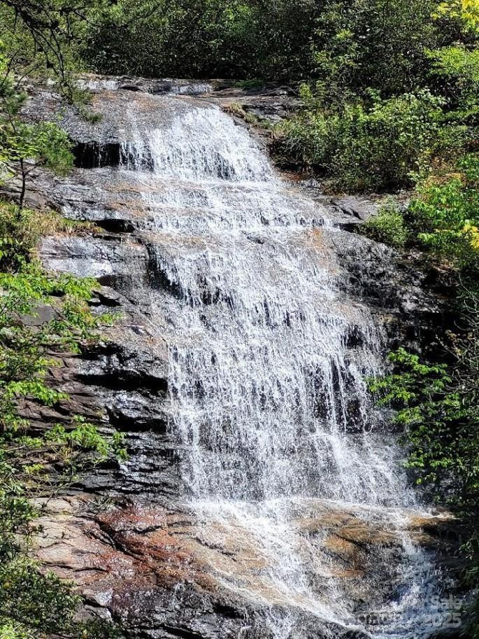 119 Fox Ridge Trail - Photo 11