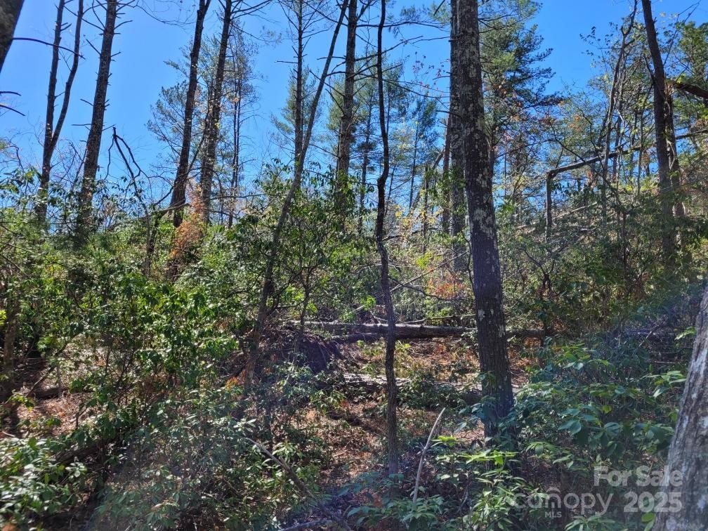 119 Fox Ridge Trail - Photo 5