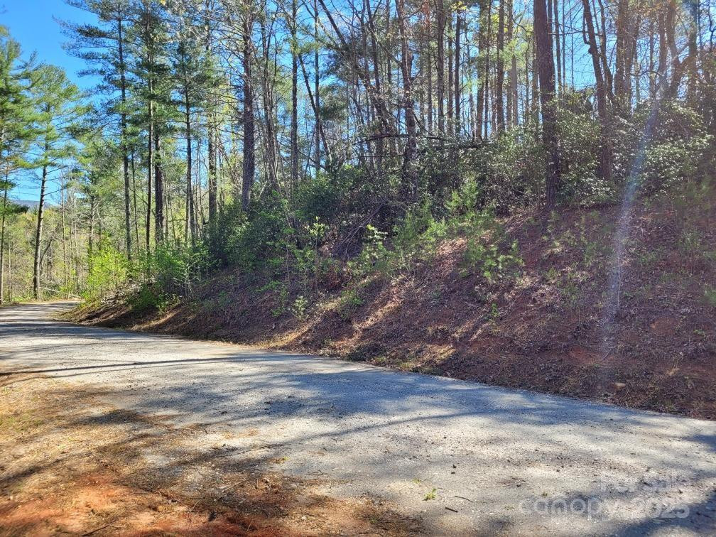 119 Fox Ridge Trail - Photo 6