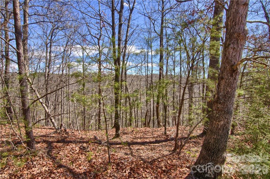 00 Boundary Road #51/52